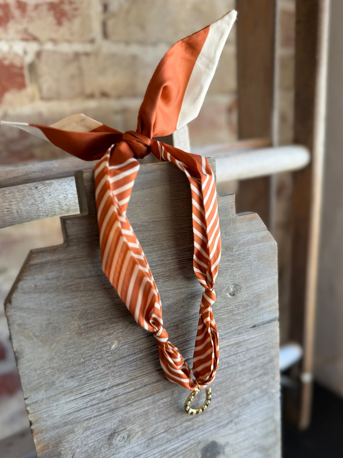 Horseshoe Scarf Necklace