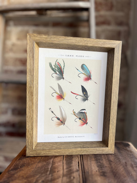 Lake Flies Framed Antique Art