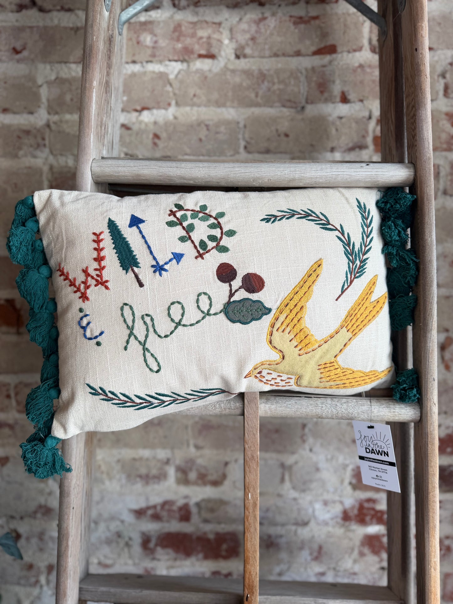 Wild & Free Bird Pillow