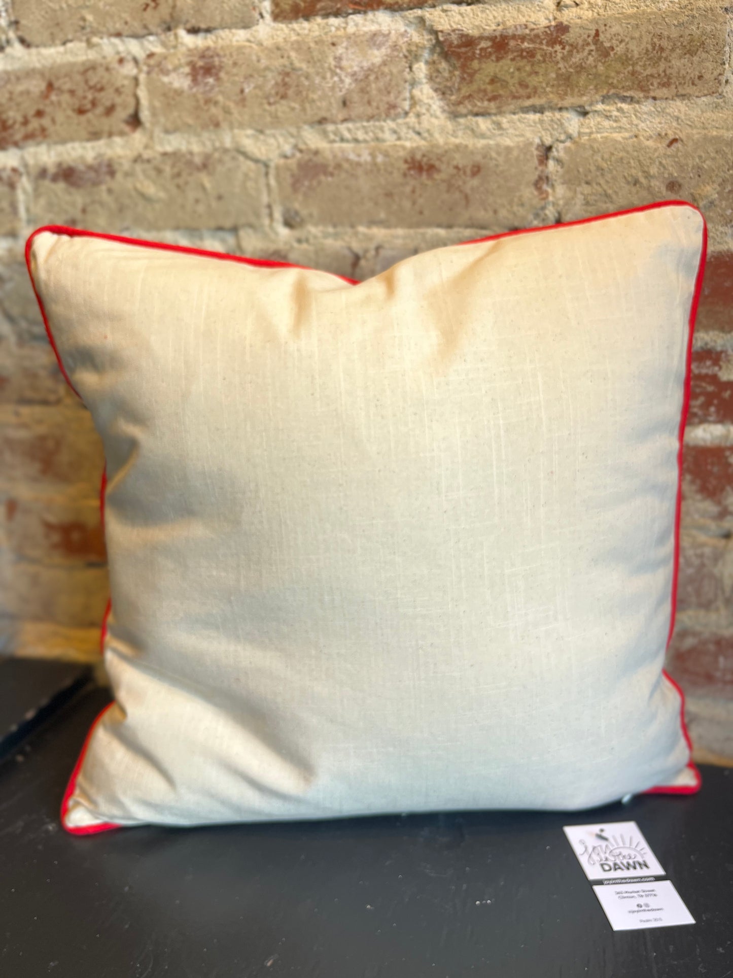 Mushroom Embroidered Pillow