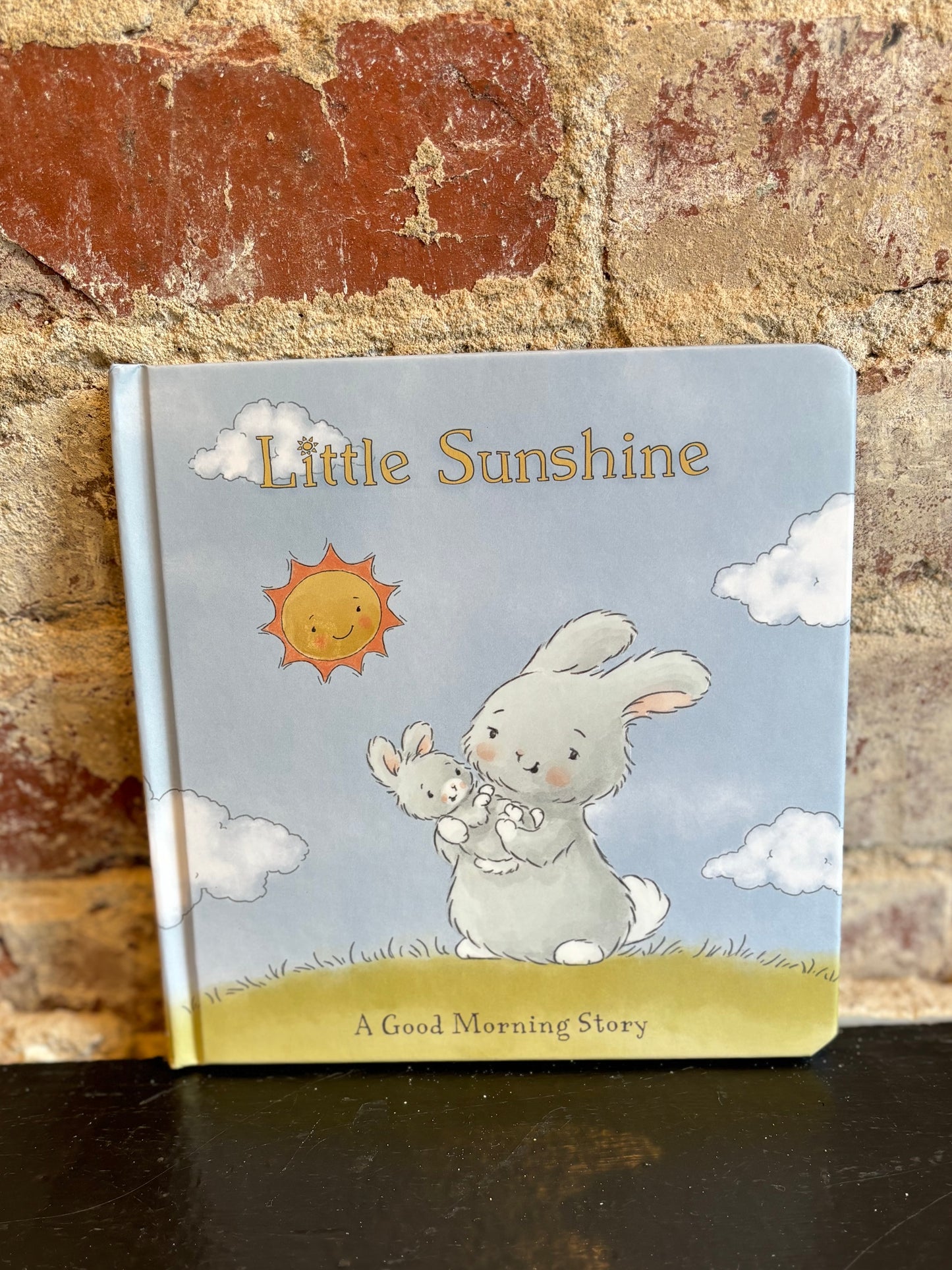 Little Sunshine Board Book