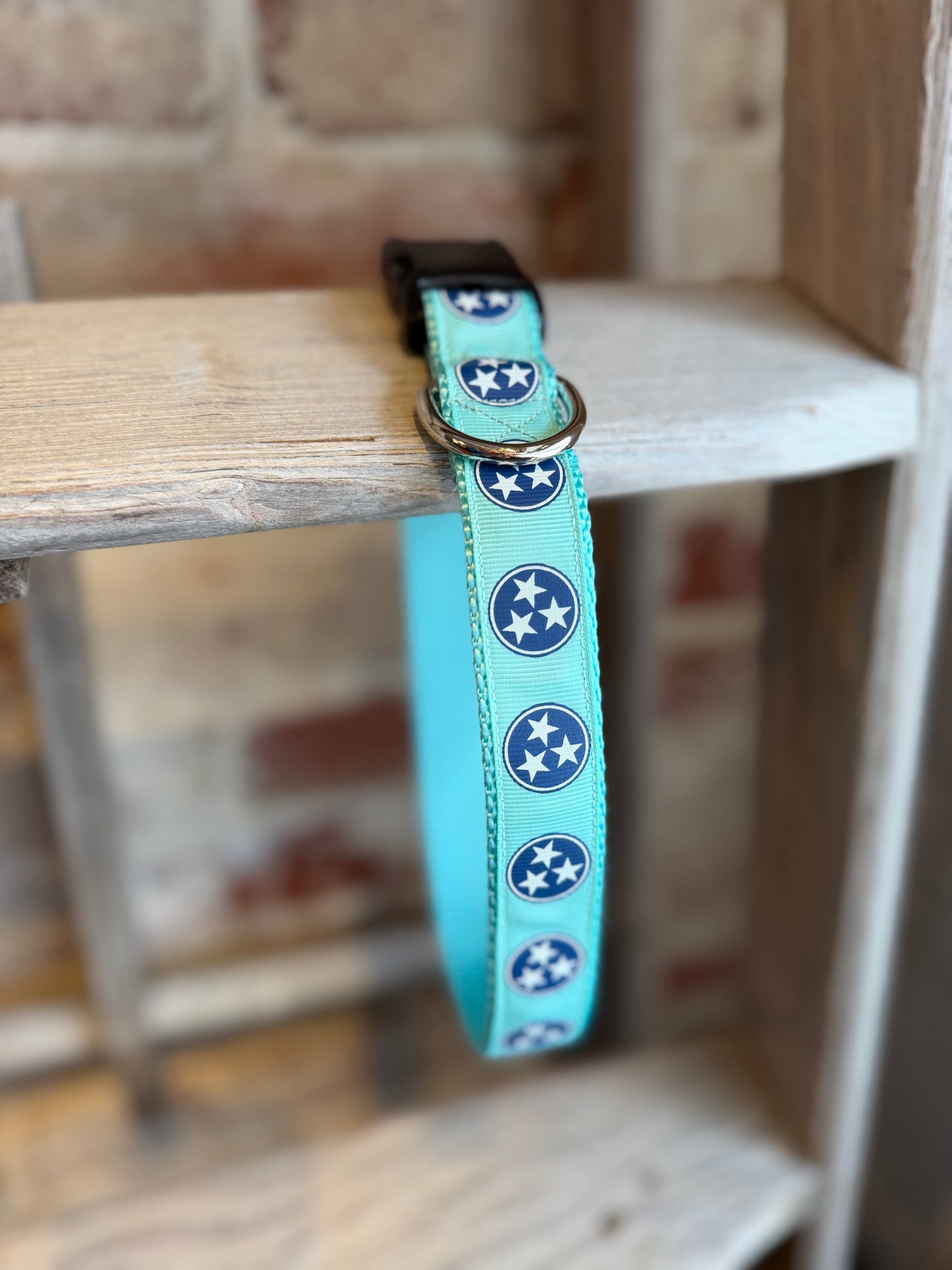TriStar WIDE Pet Collar- Teal/Blue
