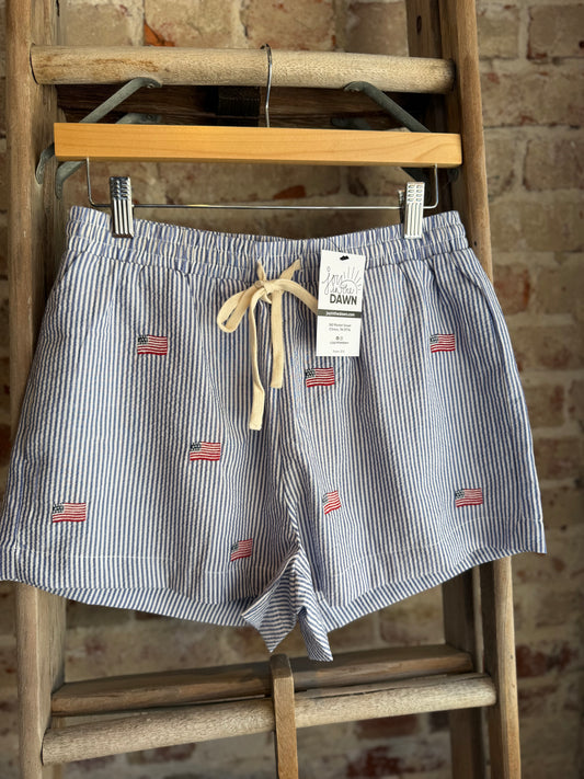 USA Flag Embroidered Shorts