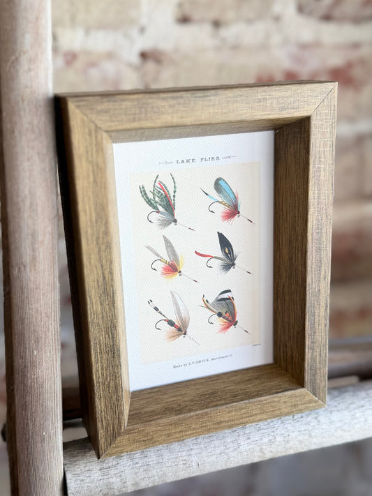 Lake Flies Framed Antique Art - 5x7