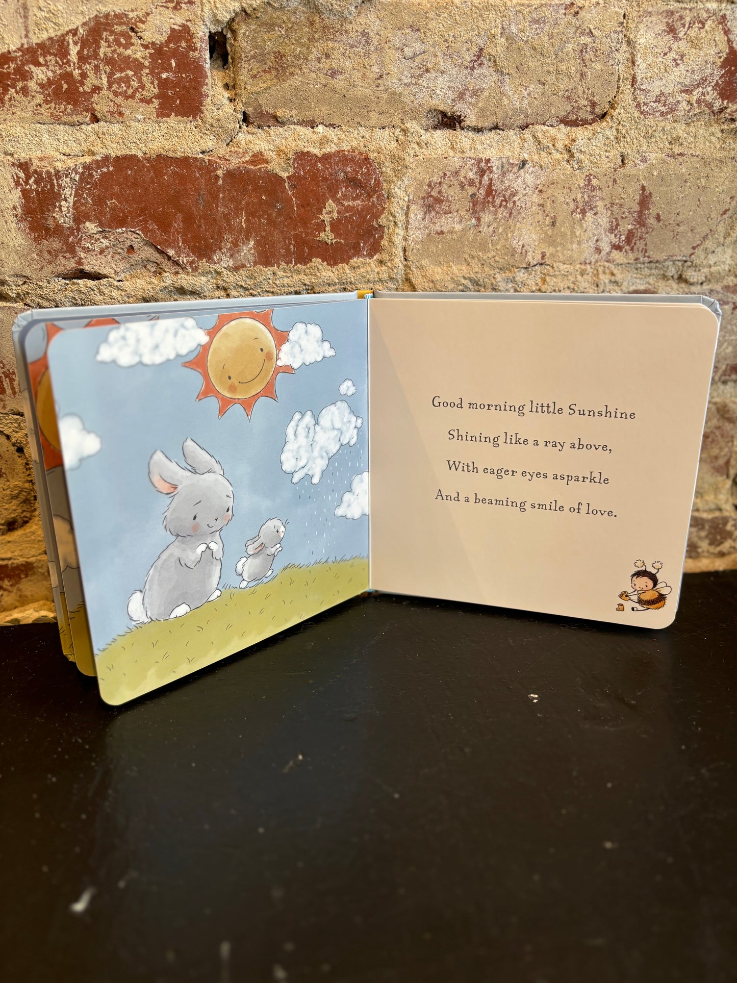 Little Sunshine Board Book