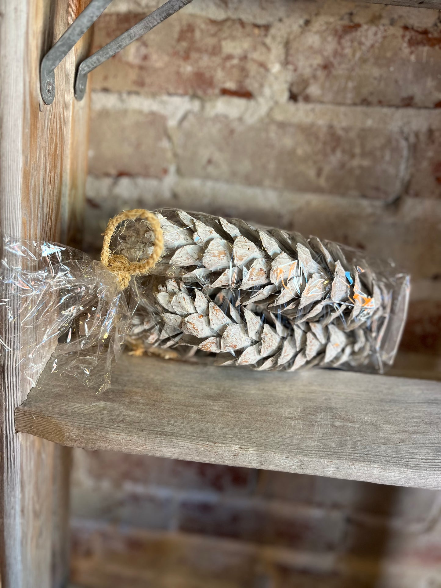 Dried Pinecones - Frosted White