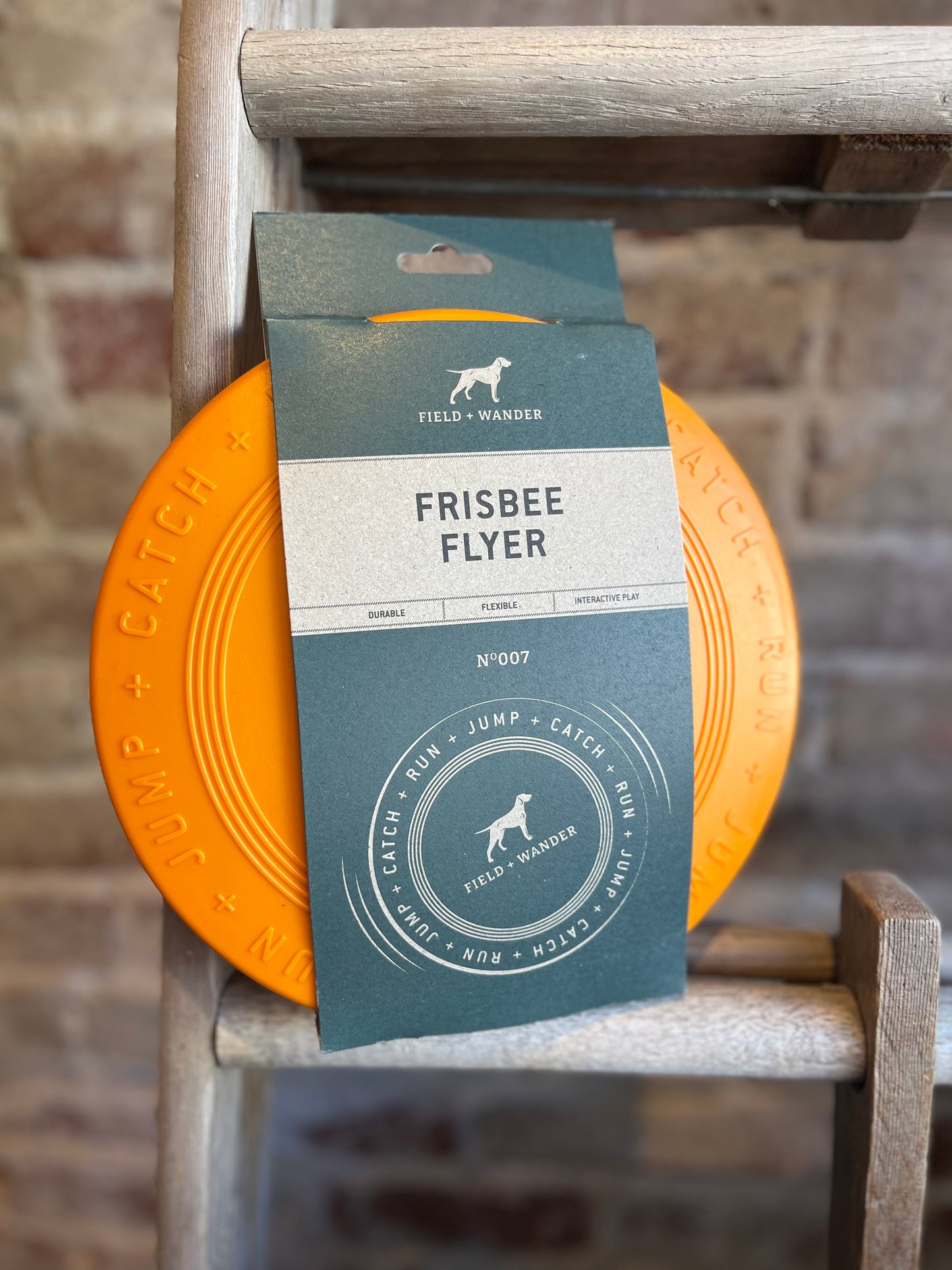 Frisbee Flyer - Orange