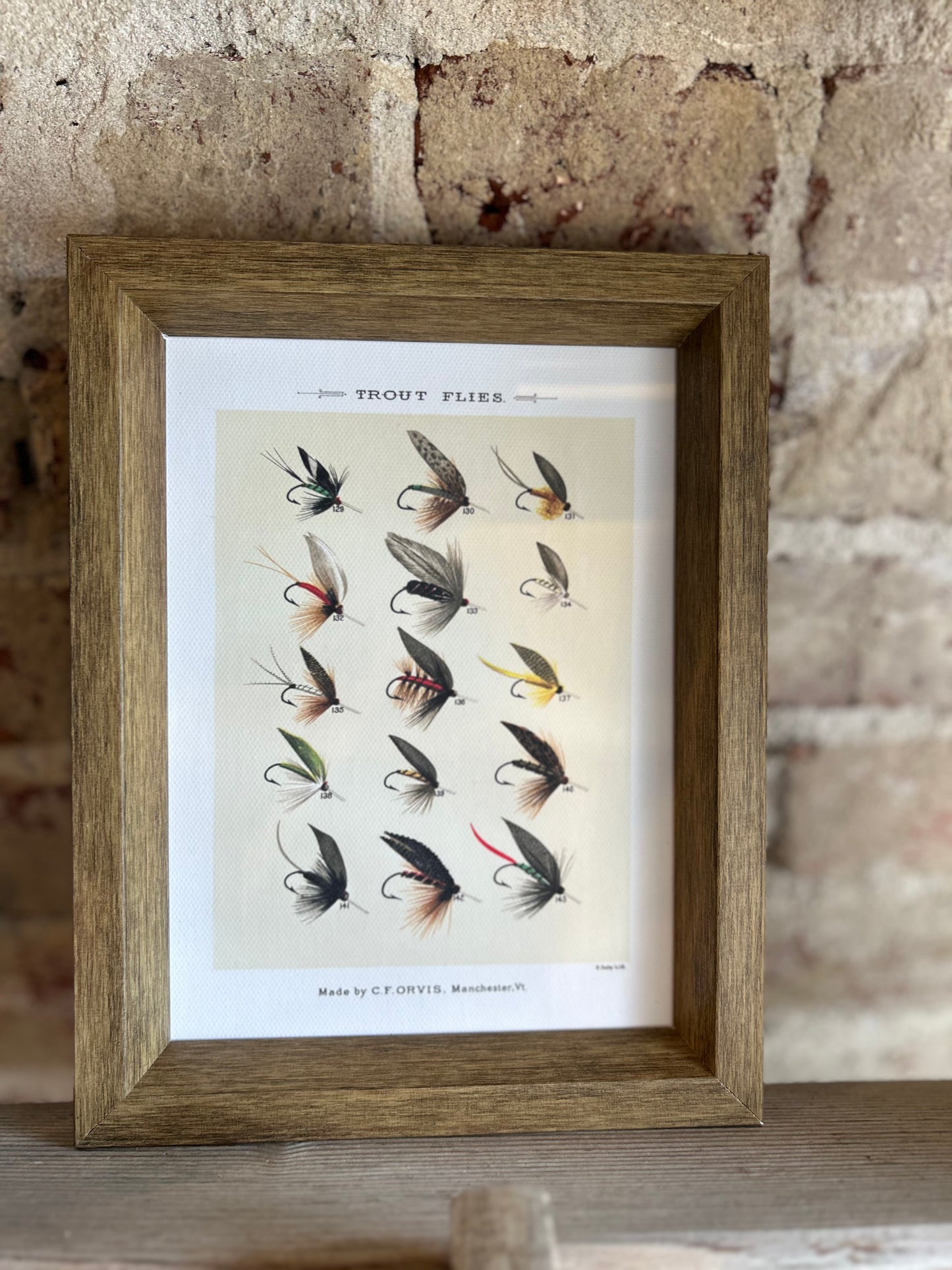 Trout Flies Framed Antique Art- 7x9