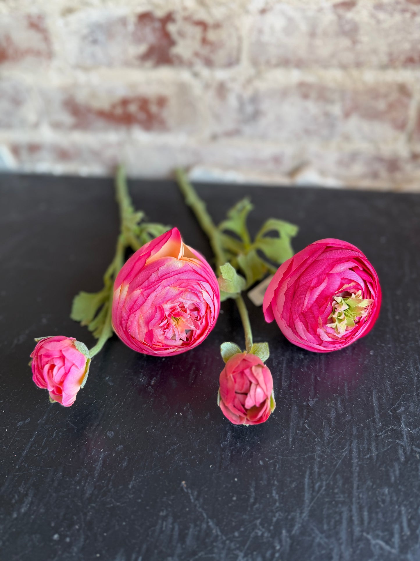 Pink Ranunculus Flower Stem