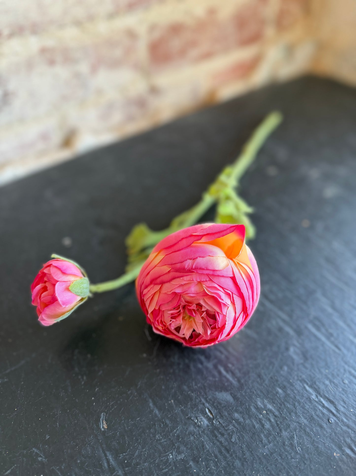 Pink Ranunculus Flower Stem