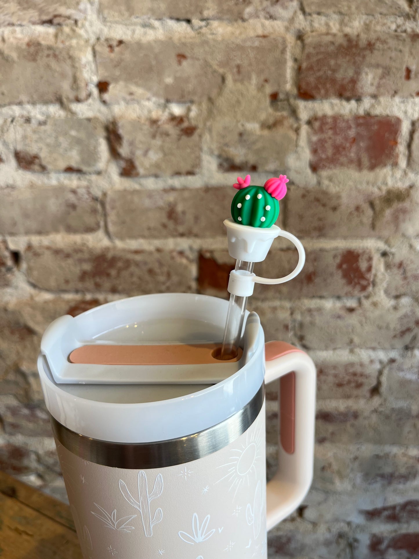 Cactus Plant Straw Cover