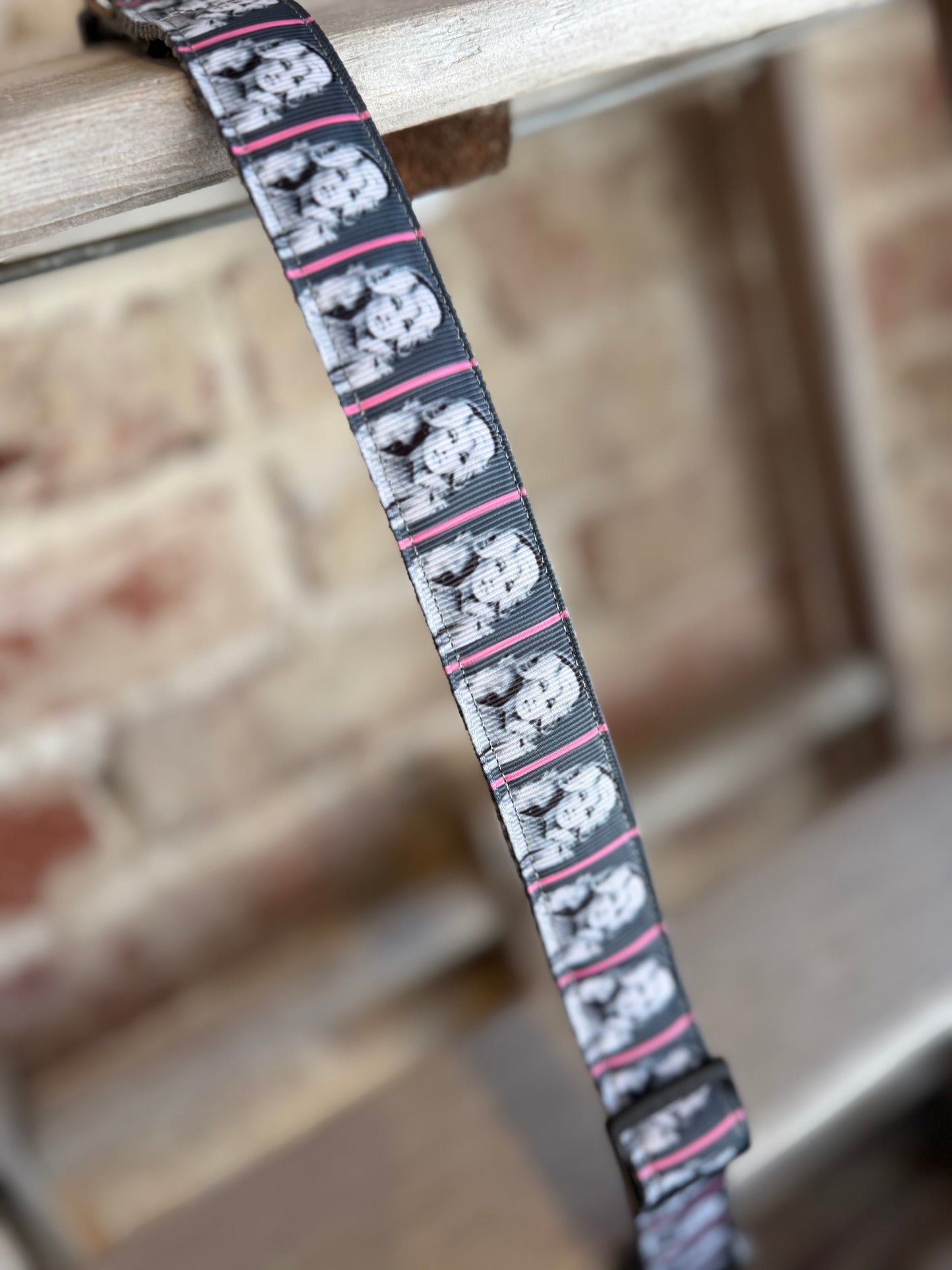 Dolly Parton WIDE Pet Collar
