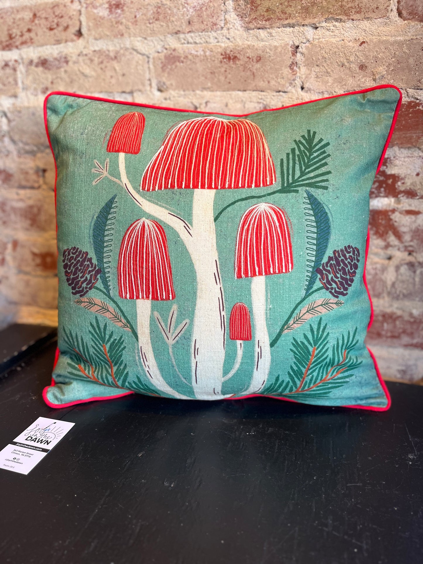 Mushroom Embroidered Pillow