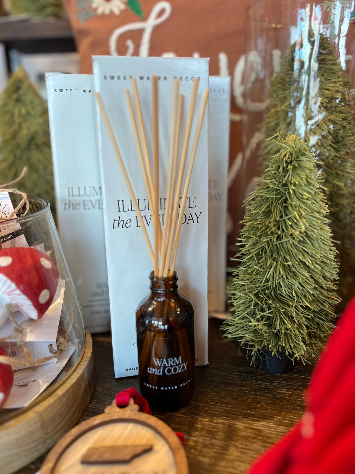 Warm and Cozy Reed Diffuser- Amber