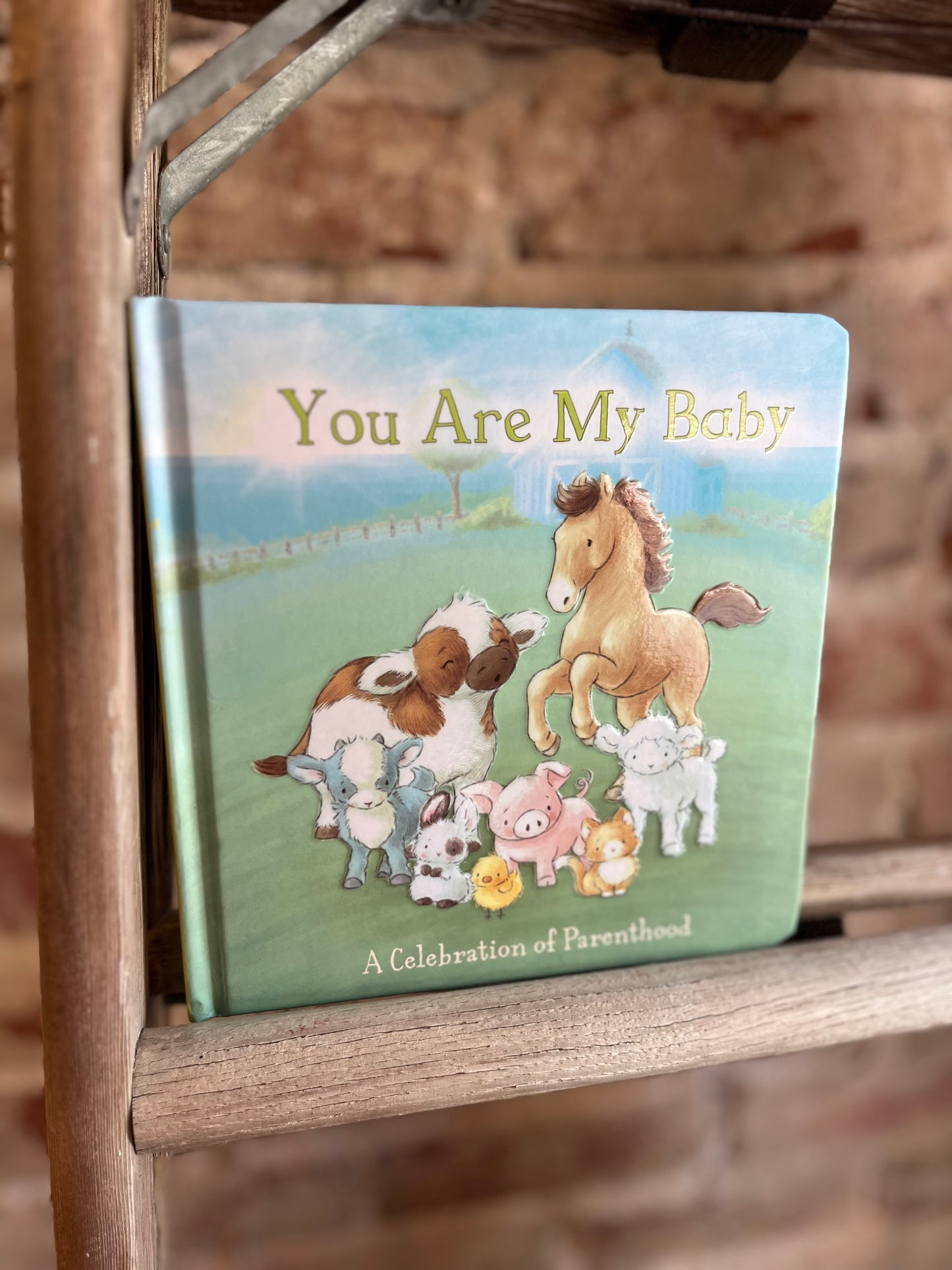 You Are My Baby Board Book
