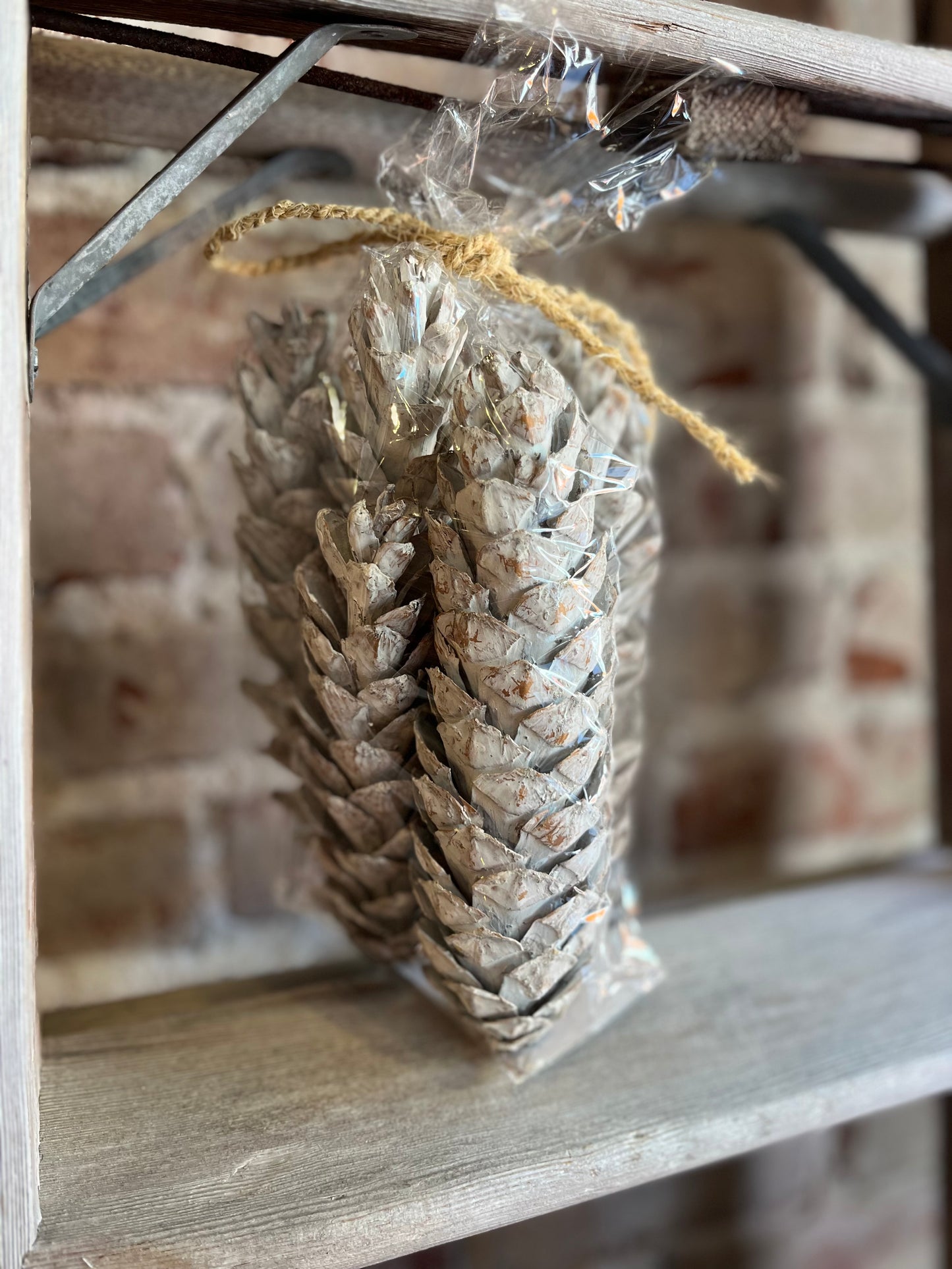 Dried Pinecones - Frosted White