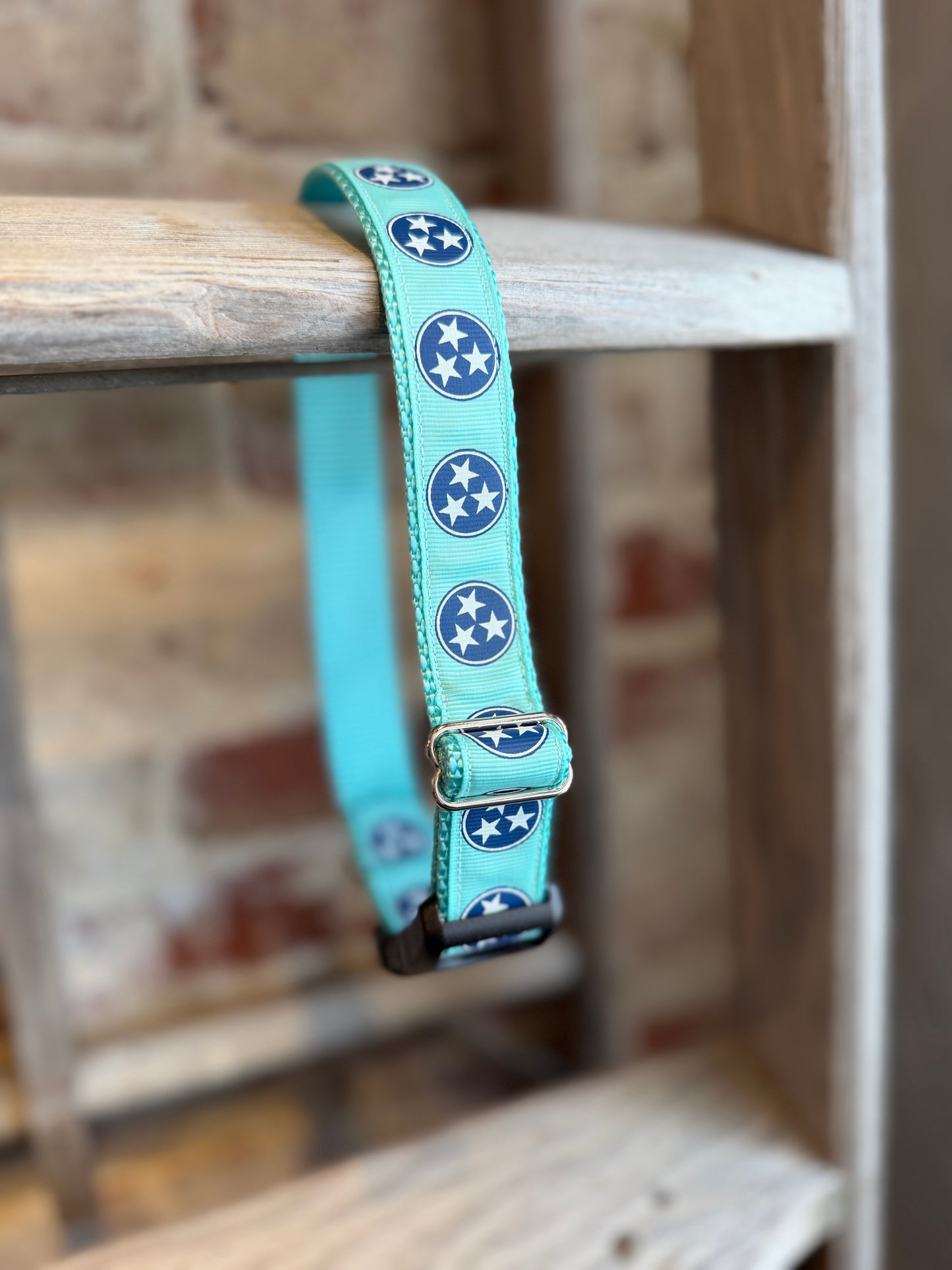 TriStar WIDE Pet Collar- Teal/Blue