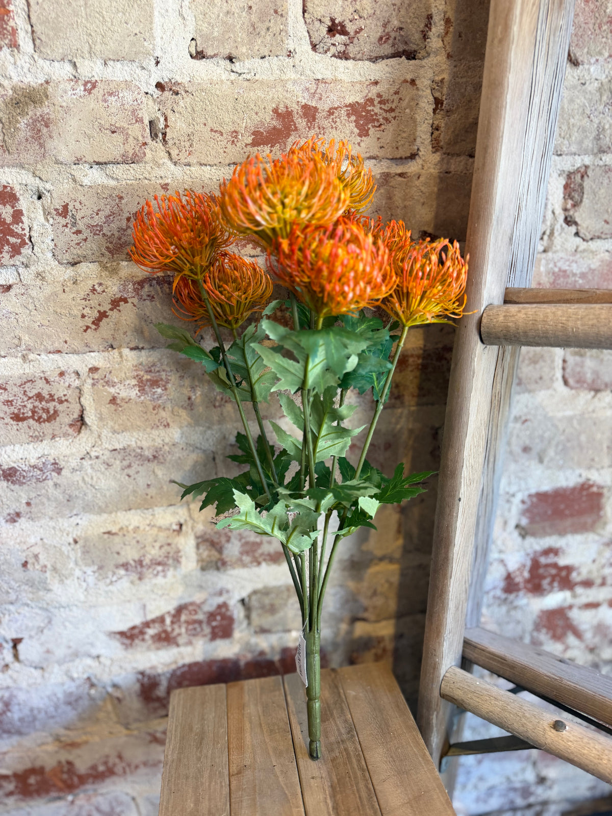 Orange Pin Cushion Protea Bunch