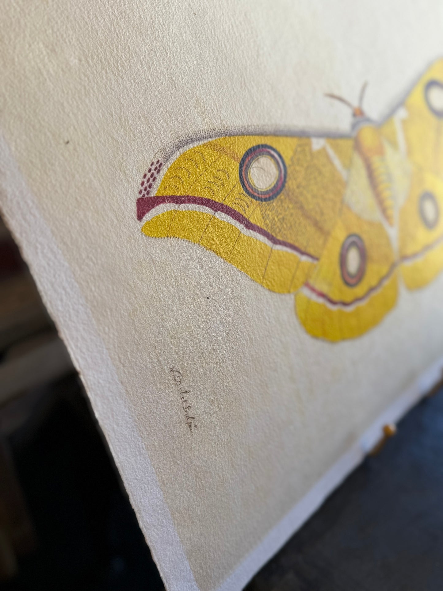 Yellow Moth Paper Print