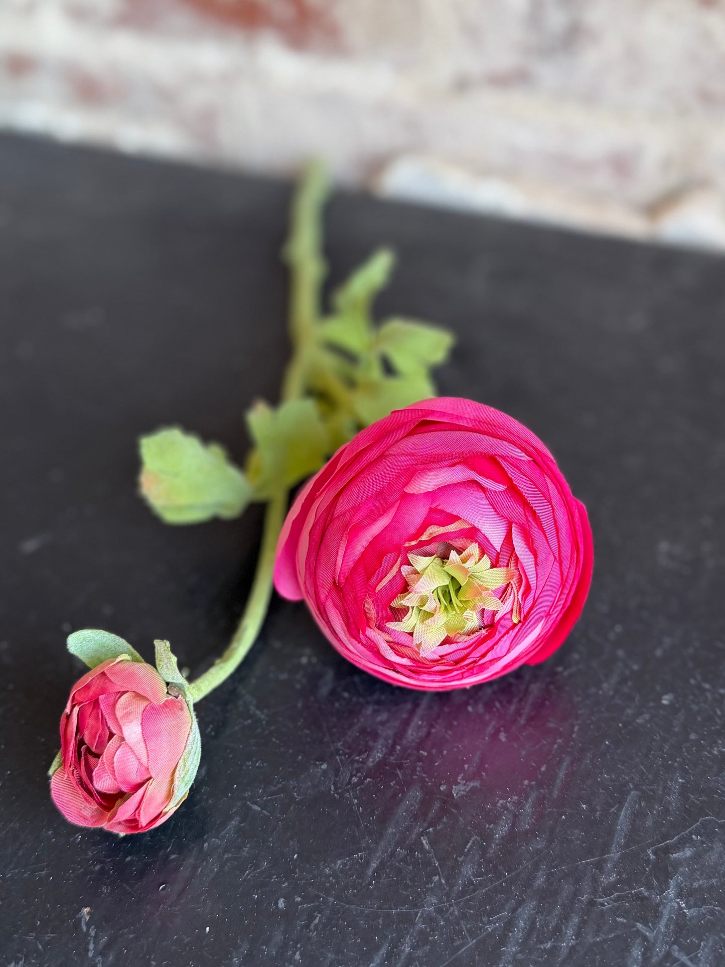 Pink Ranunculus Flower Stem