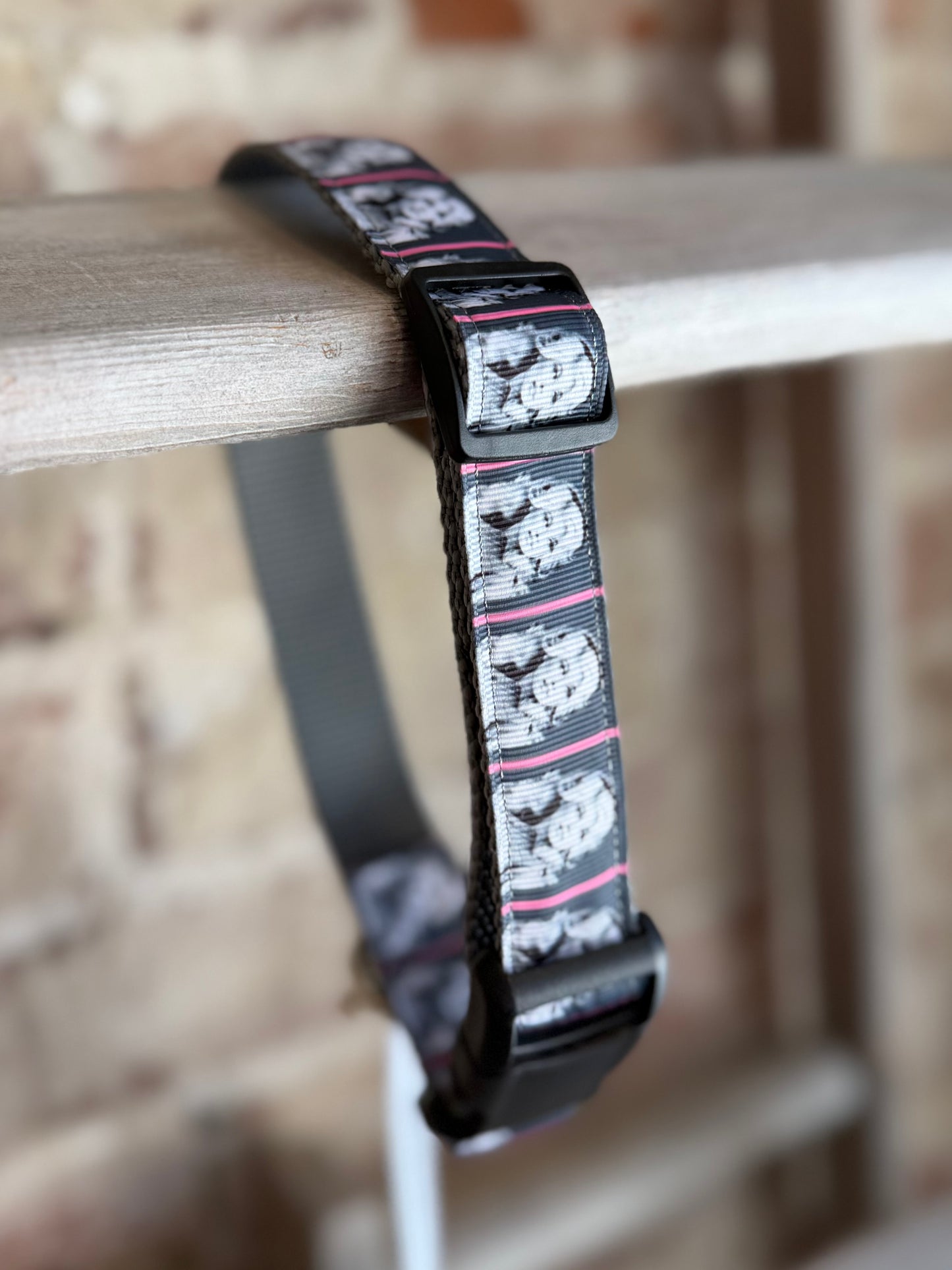 Dolly Parton WIDE Pet Collar