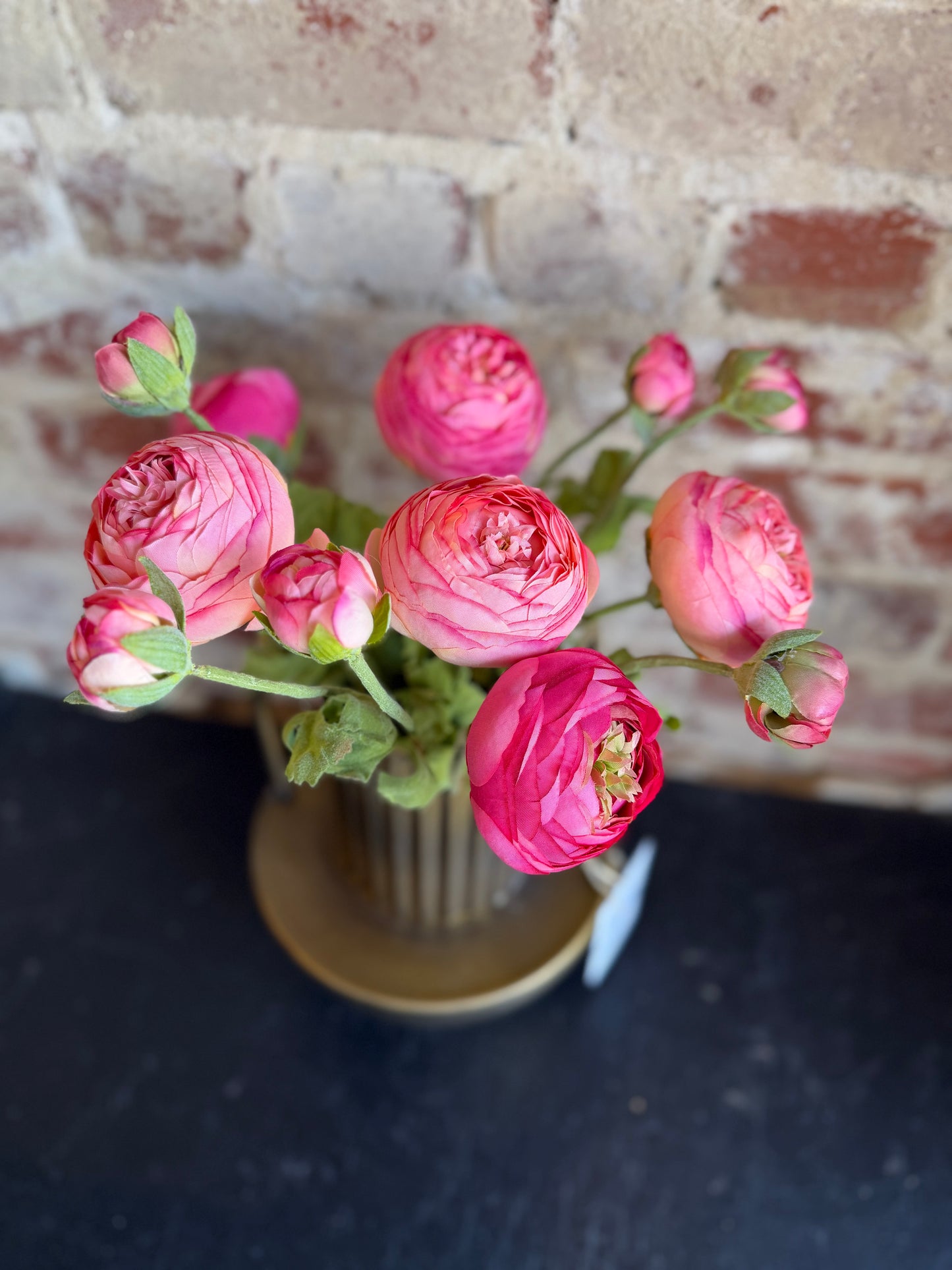 Pink Ranunculus Flower Stem