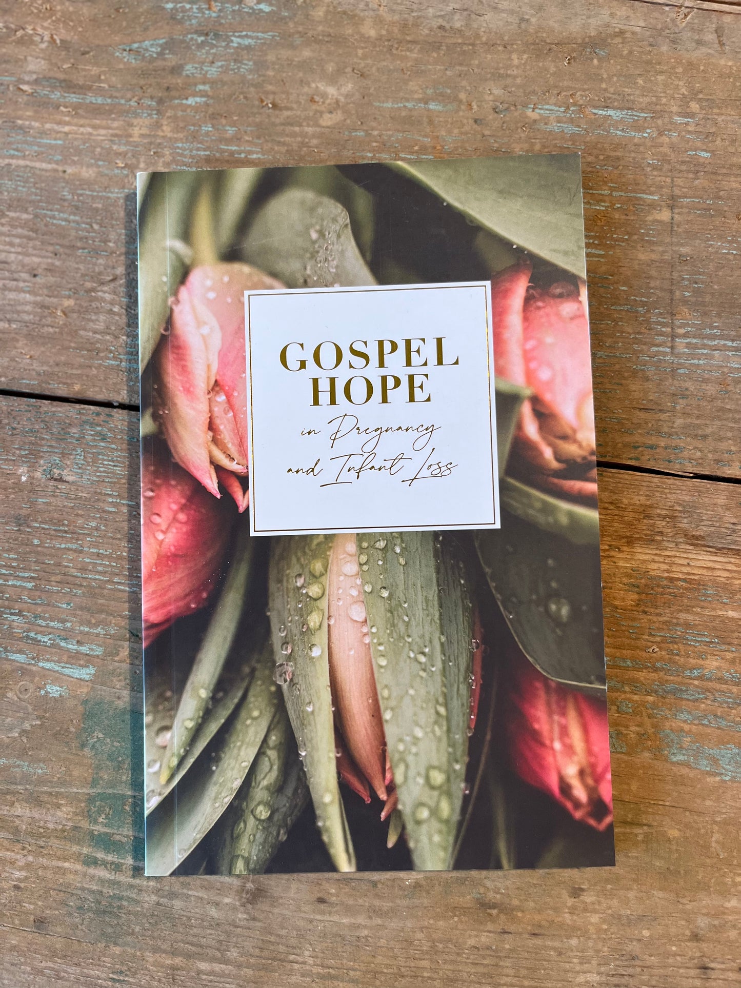 Gospel Hope in Pregnancy and Infant Loss