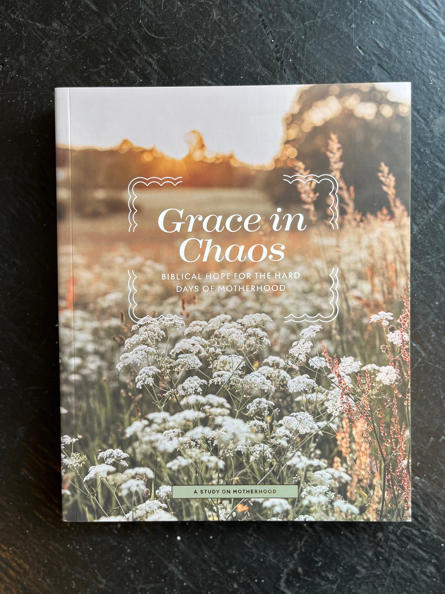 Grace in Chaos- Biblical Hope for Motherhood