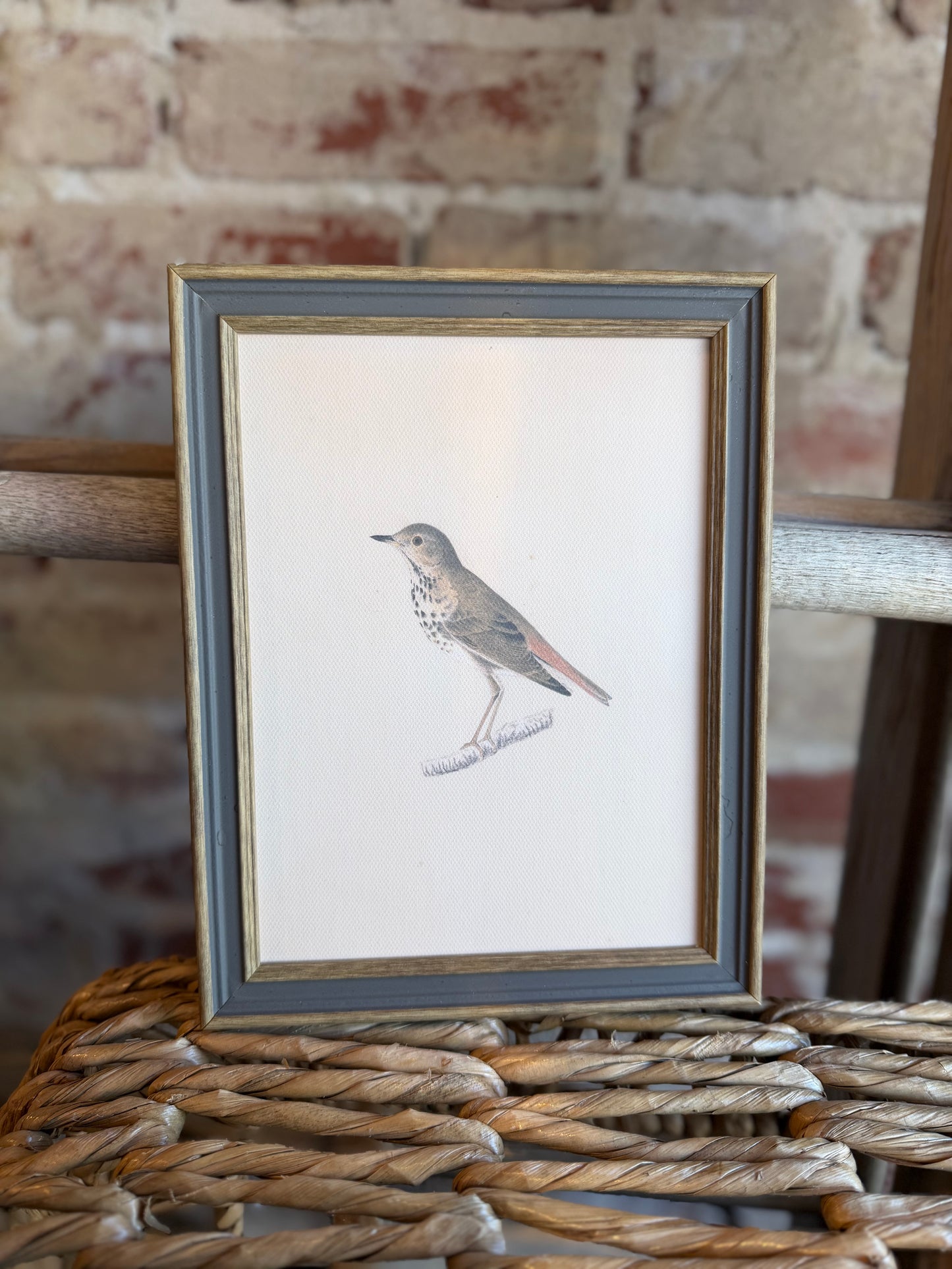 Bird Framed Antique Art