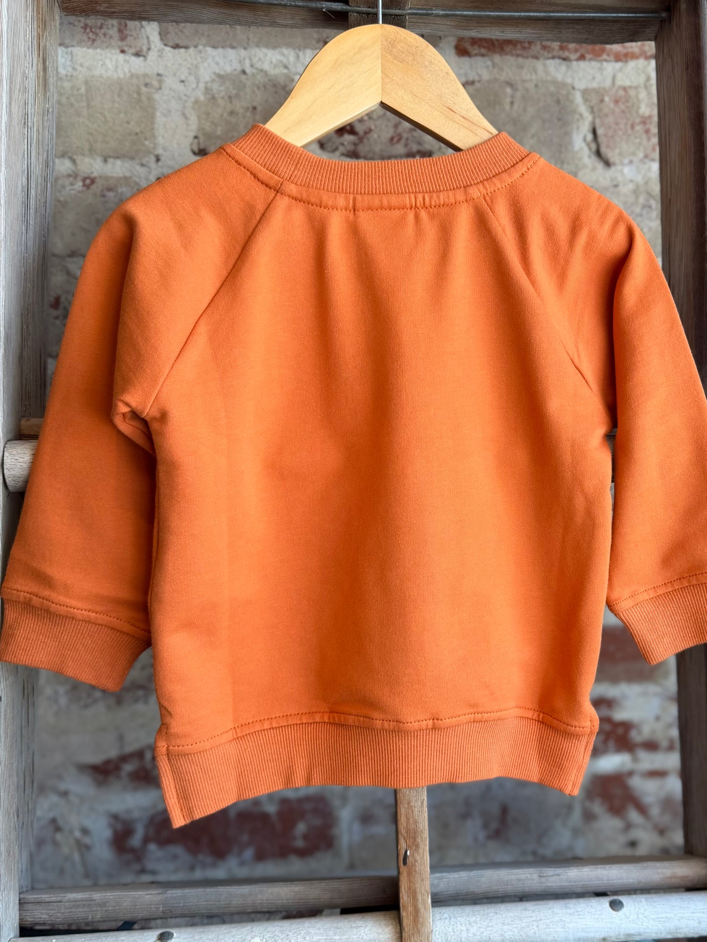 Pumpkin Orange Pullover - Baby/Toddler