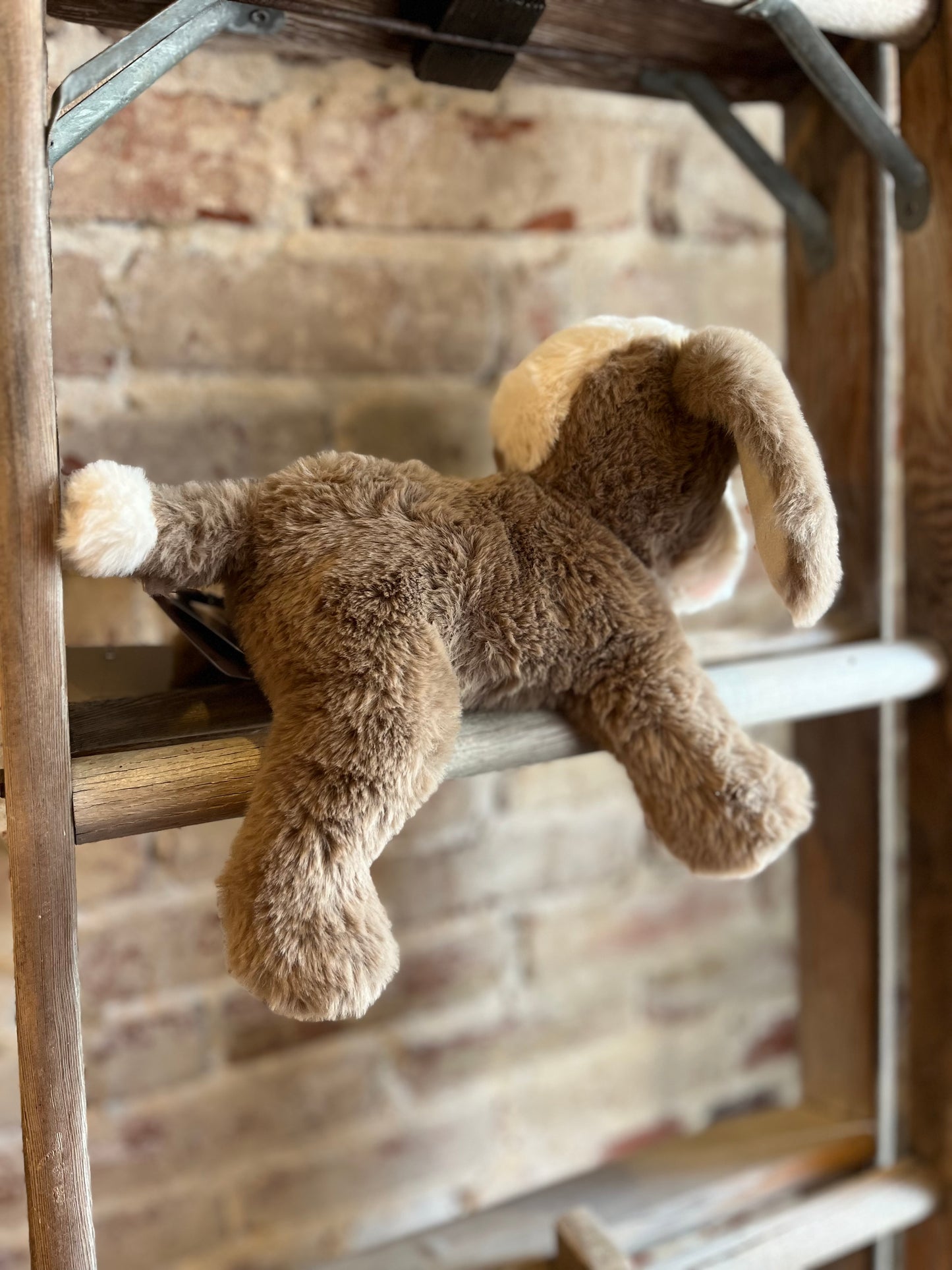 Little Floppy Mutt Dog Plushie