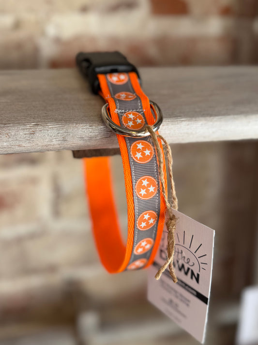 TriStar WIDE Pet Collar- Orange Trim