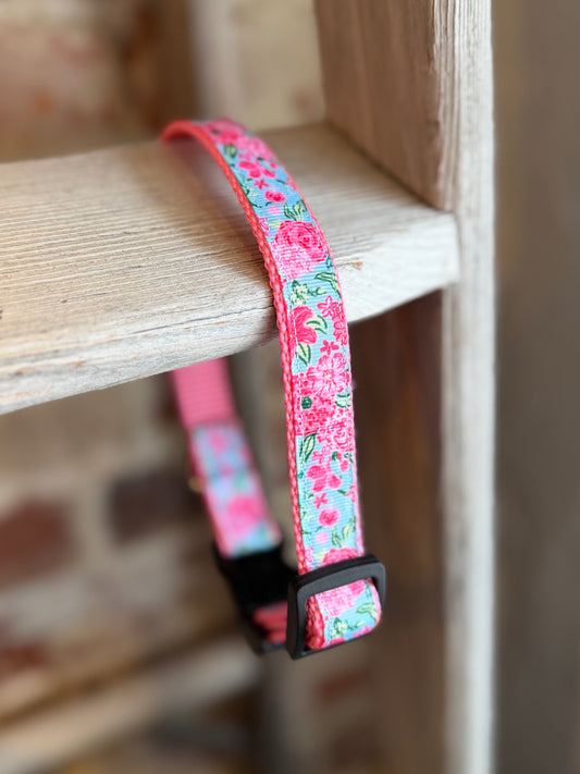 TriStar Narrow Pet Collar- Peony