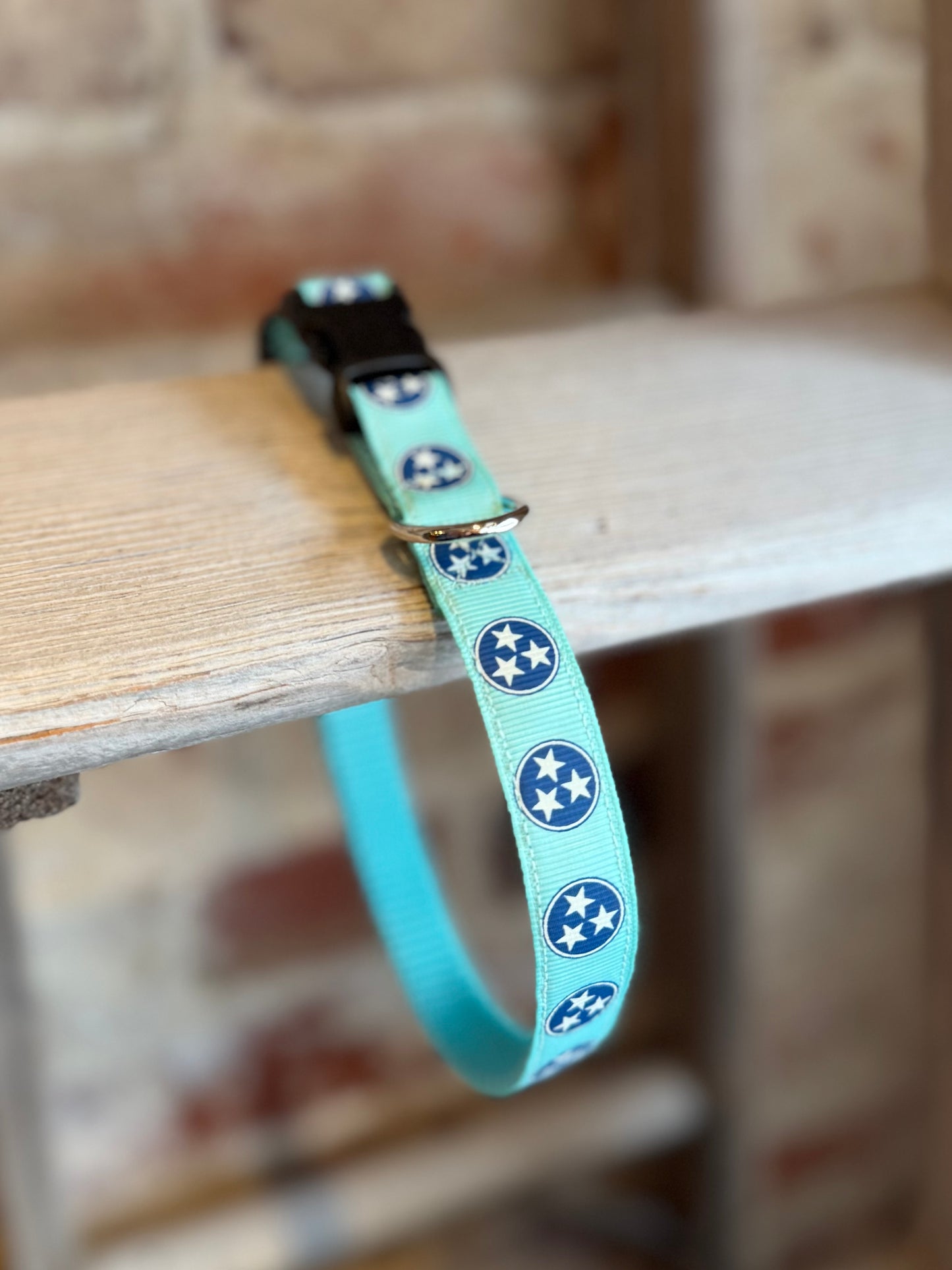 TriStar Narrow Pet Collar- Teal/Blue