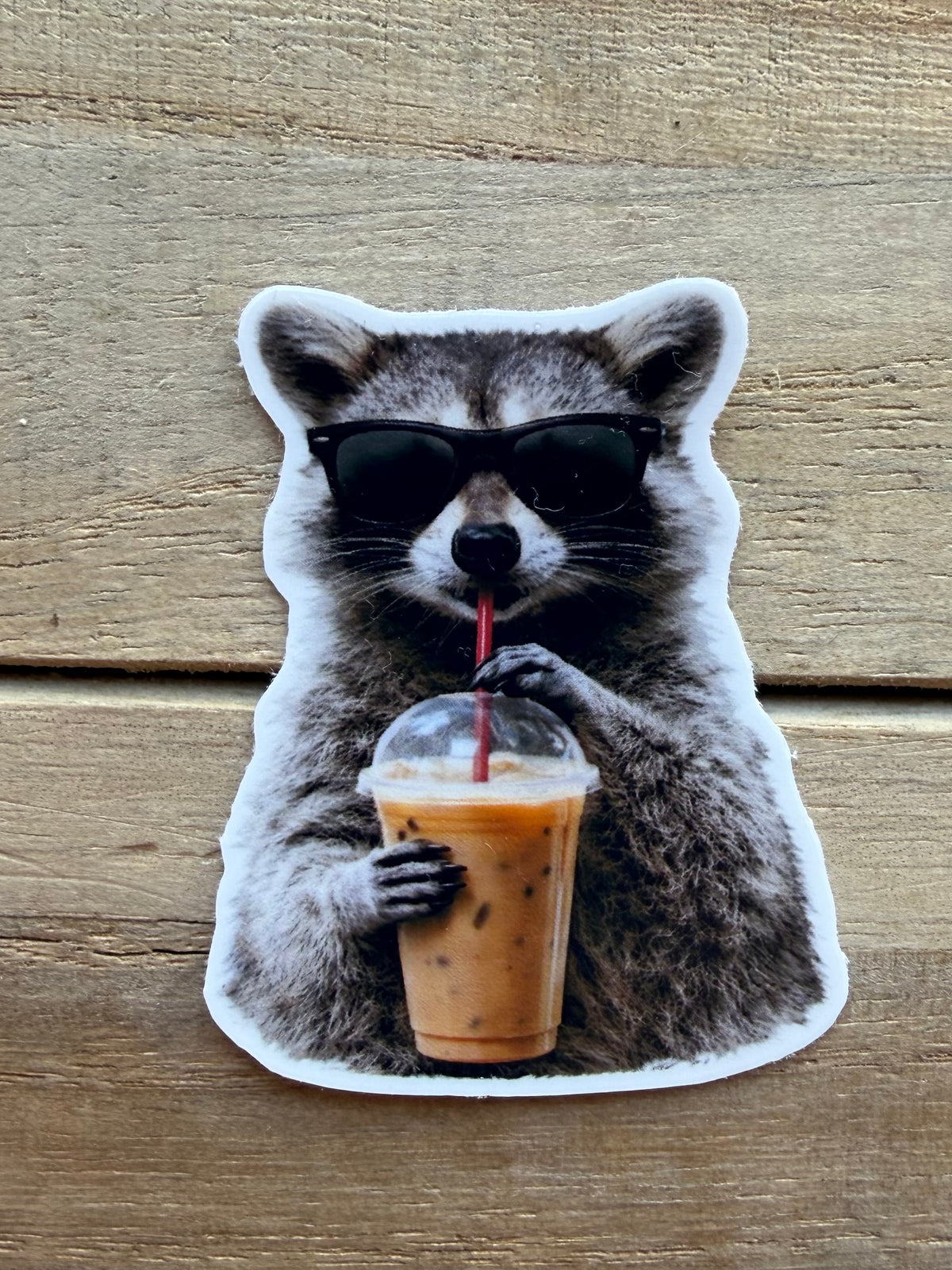 Cool Coffee Raccoon Sticker