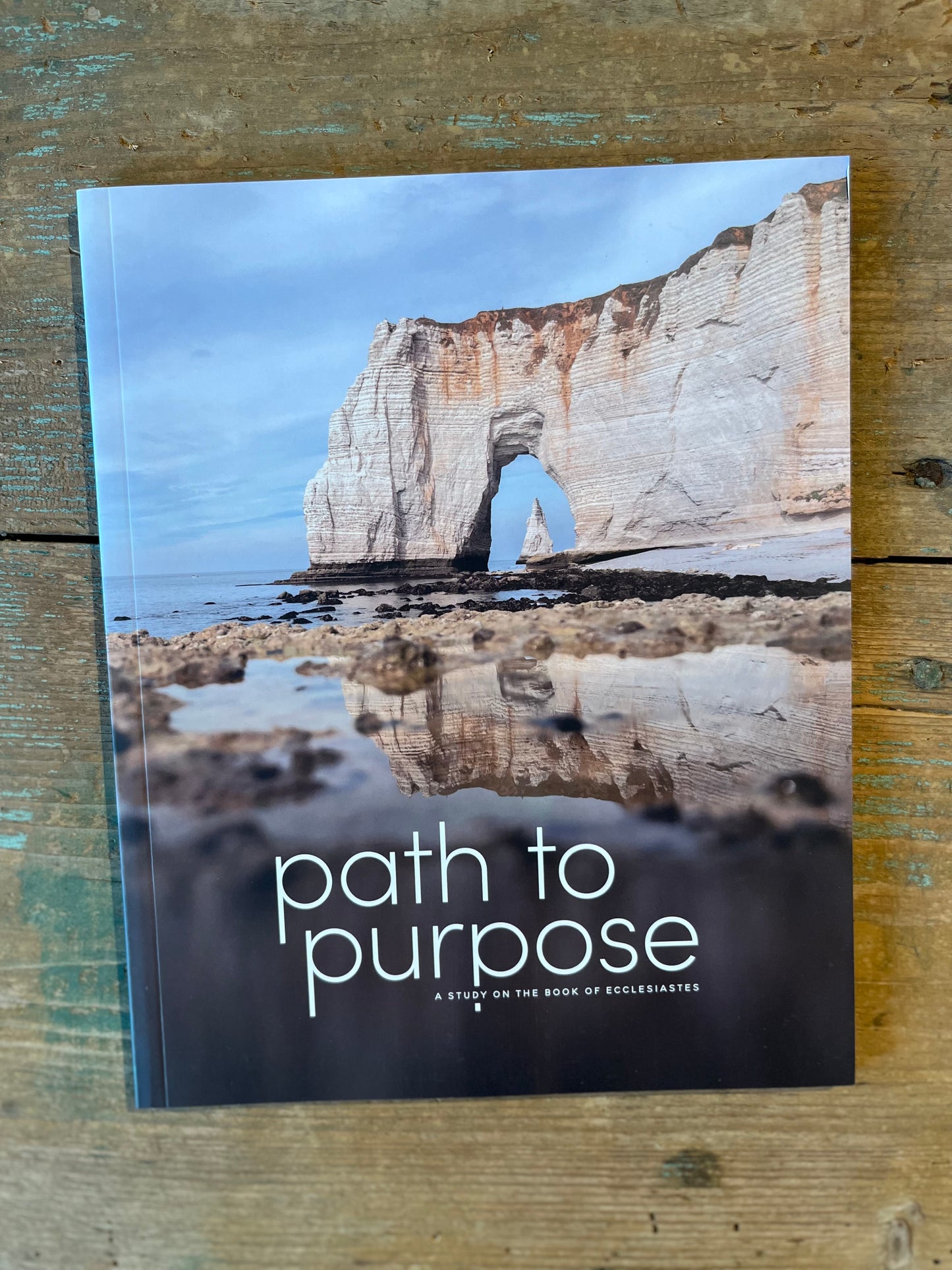 Path to Purpose Study- Men