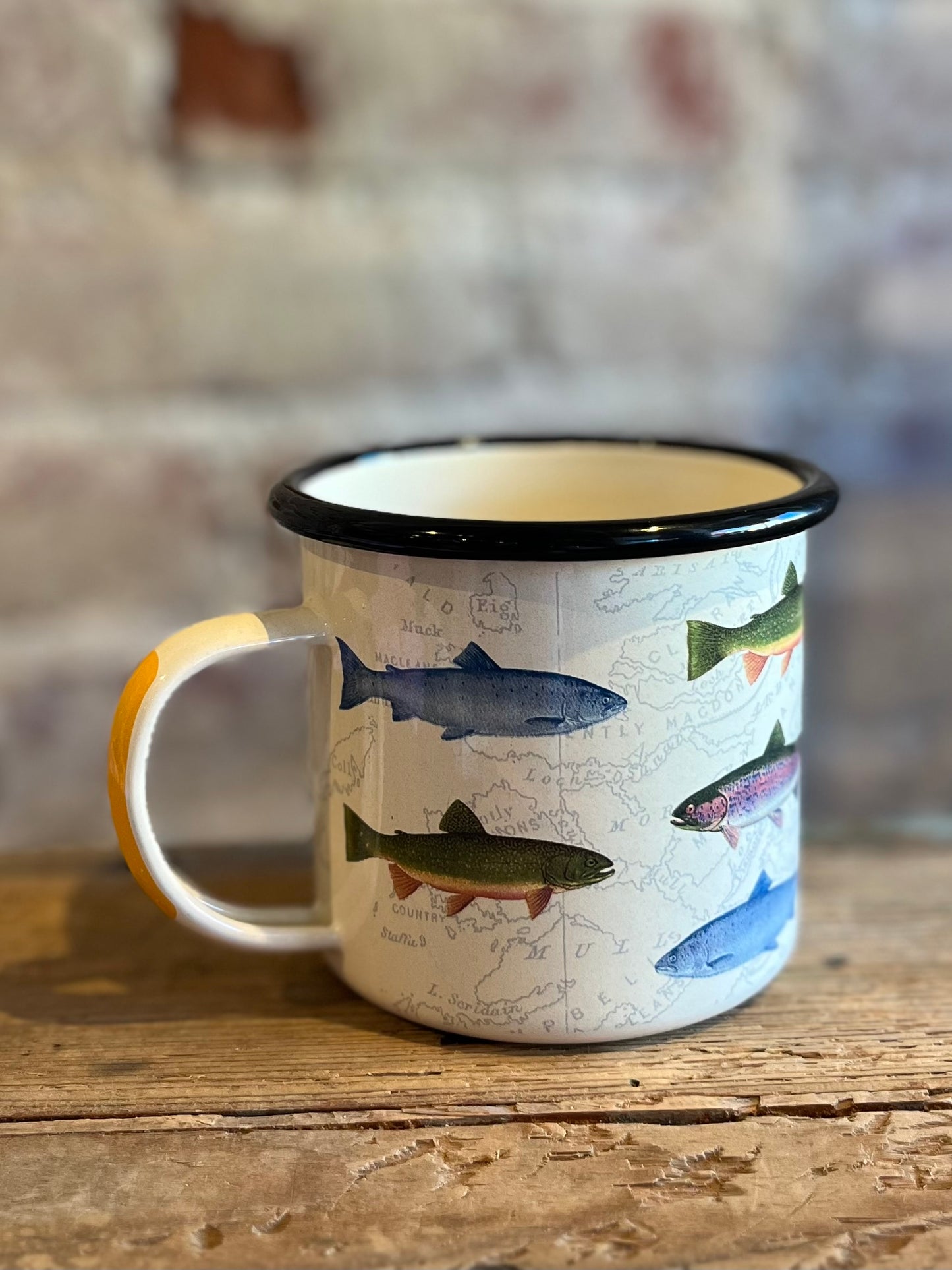 Fish Enamel Mug