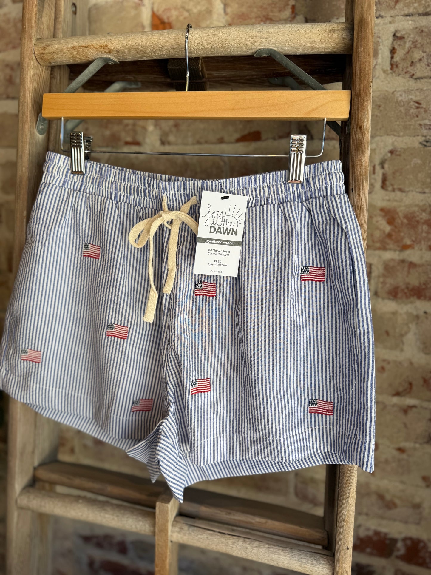 USA Flag Embroidered Shorts