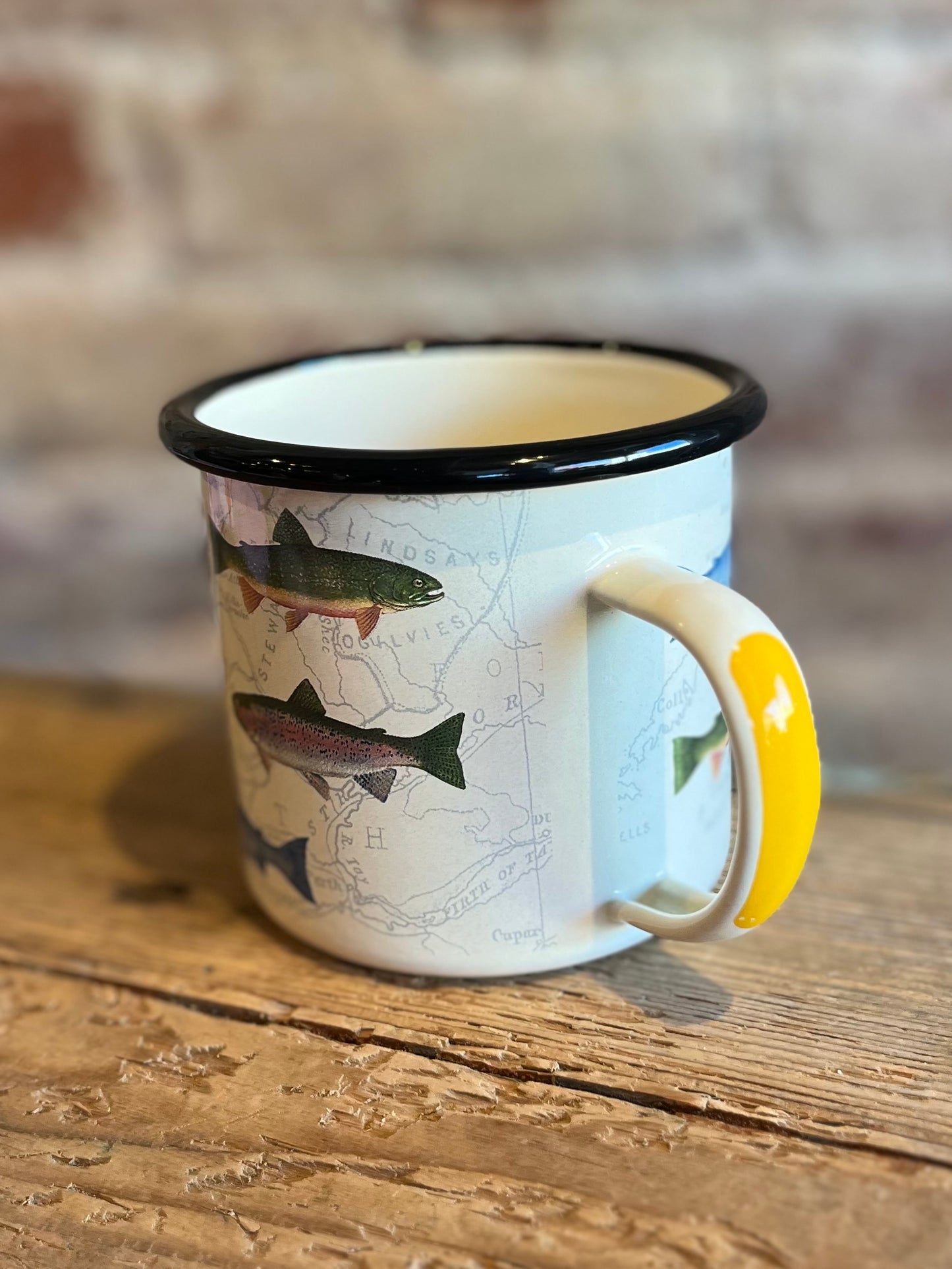 Fish Enamel Mug