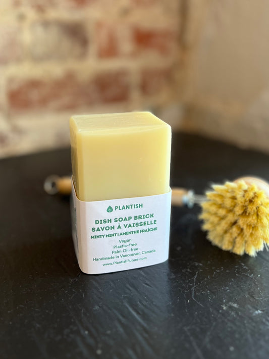 Minty Mint Solid Dish Soap Bar- 13oz