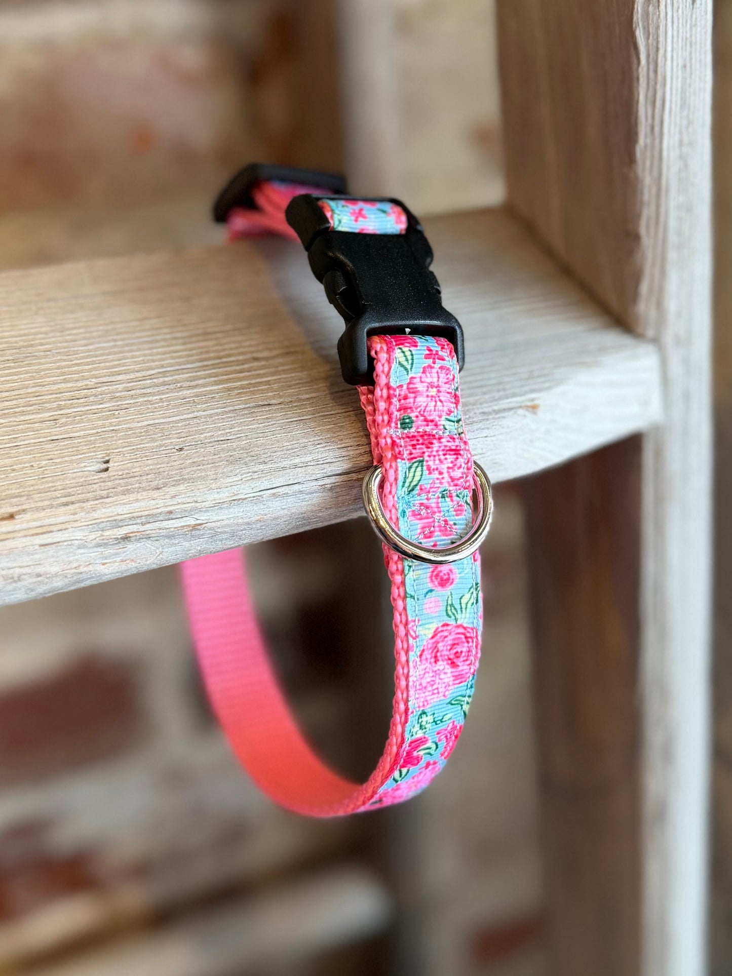 TriStar Narrow Pet Collar- Peony