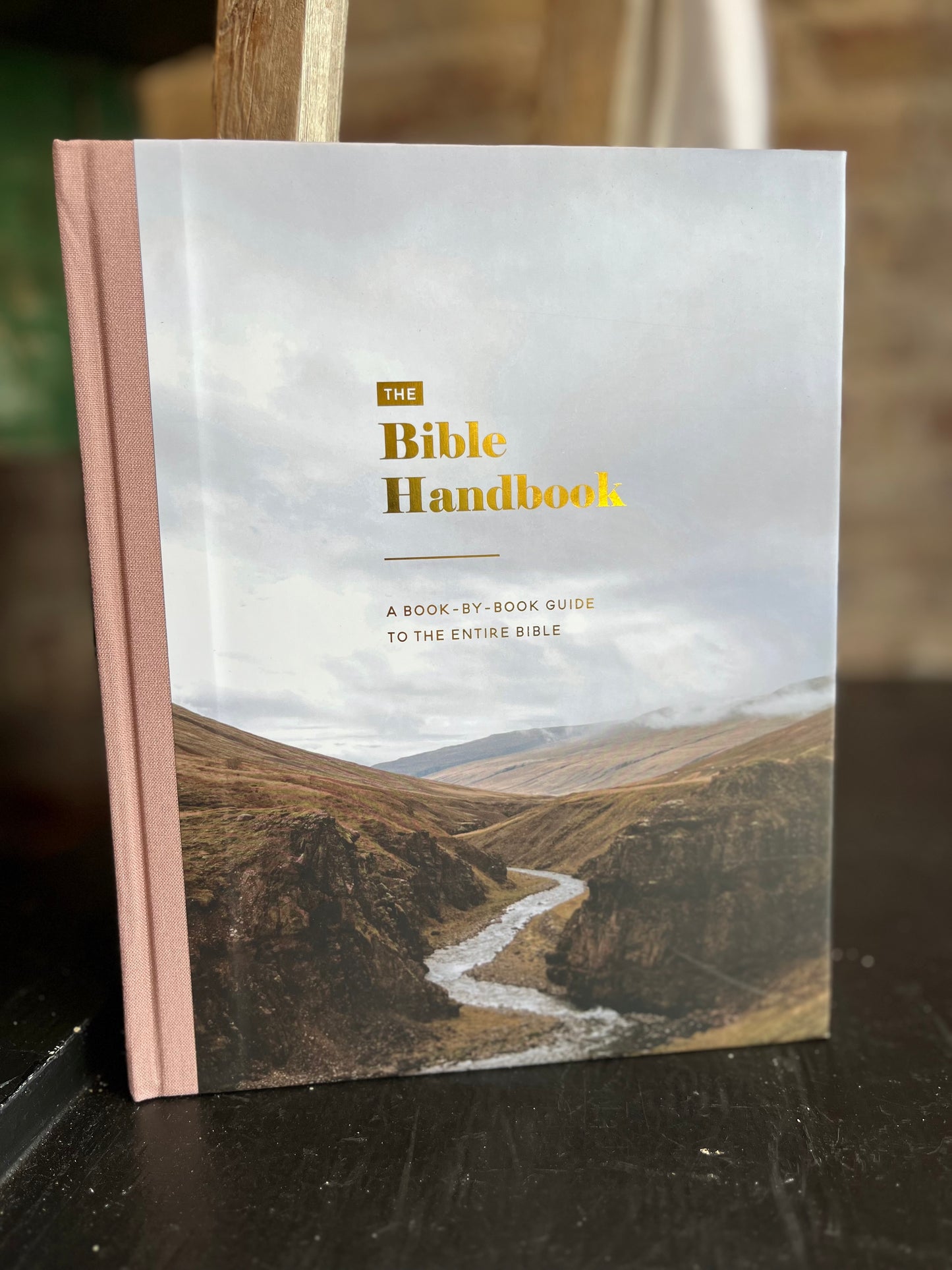 The Bible Handbook- A Book by Book Guide