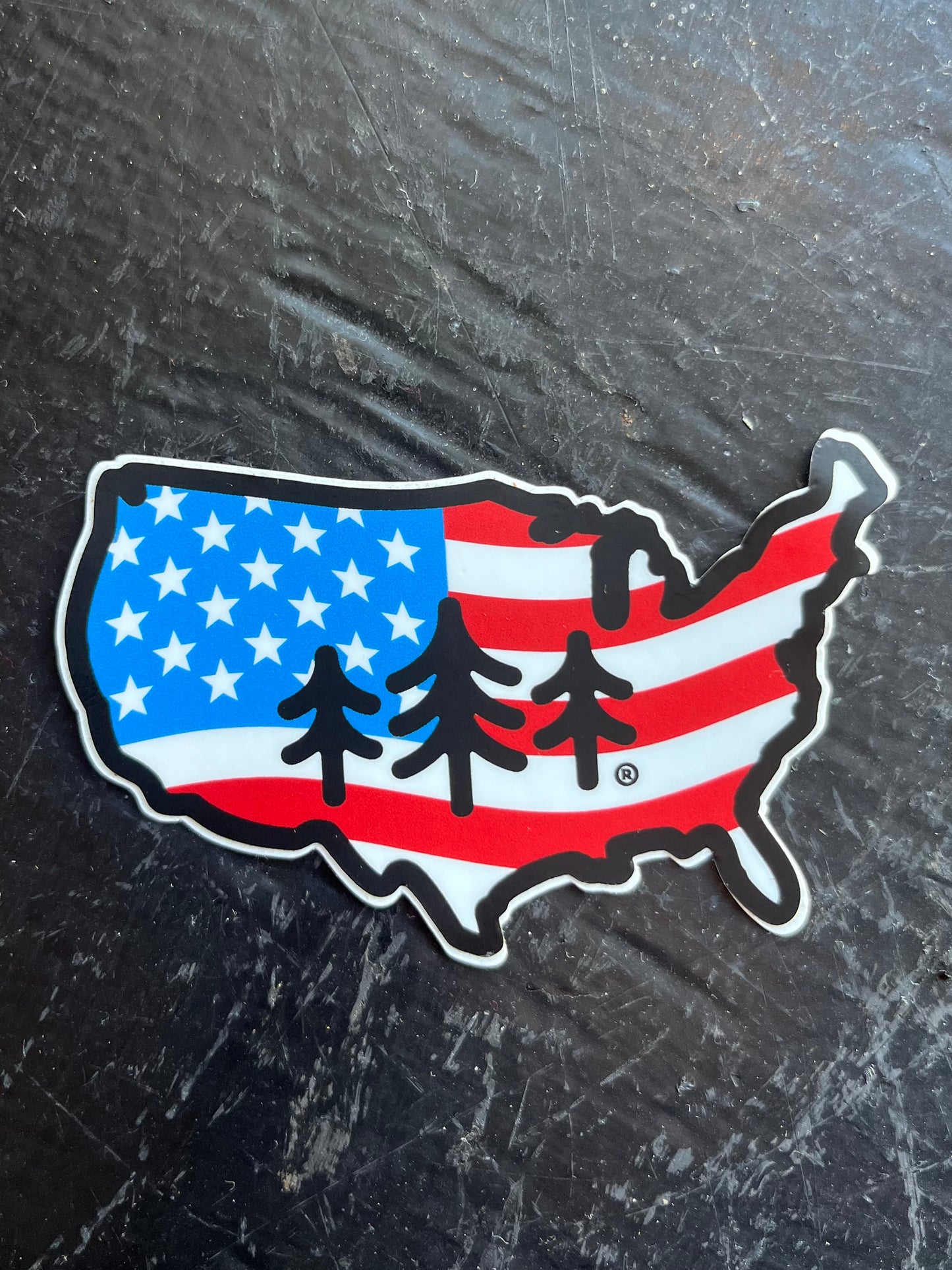 USA Pine Tree Sticker