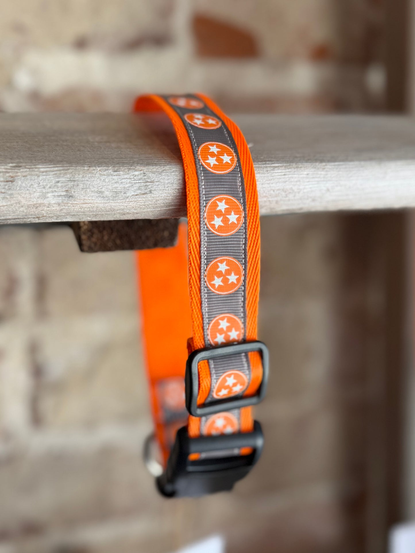 TriStar WIDE Pet Collar- Orange Trim