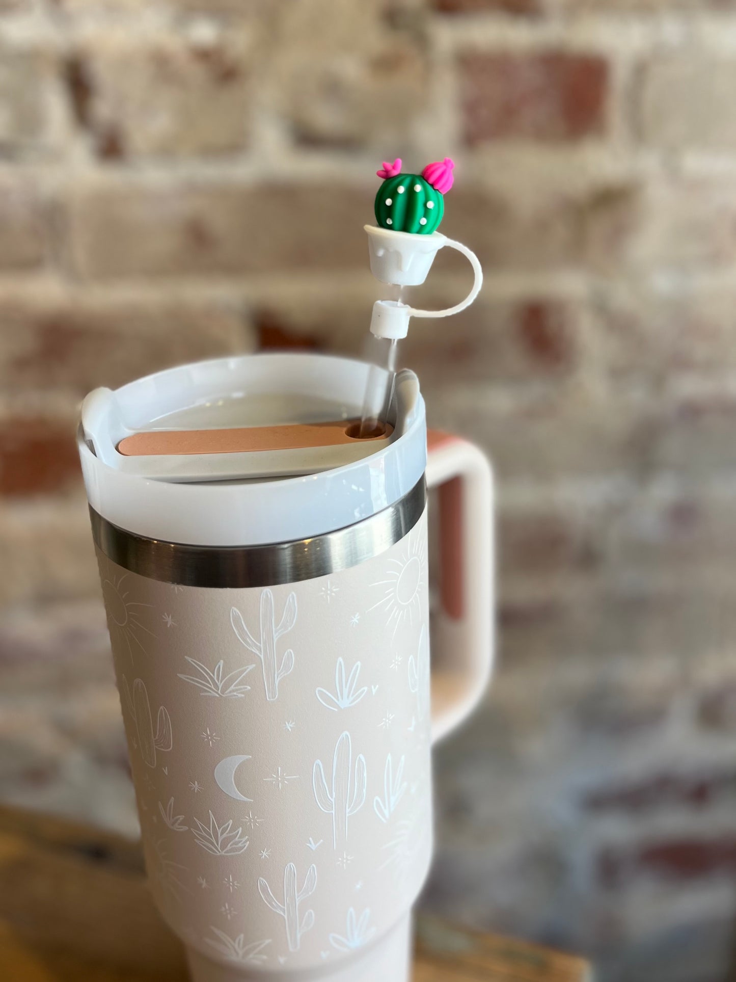 Cactus Plant Straw Cover