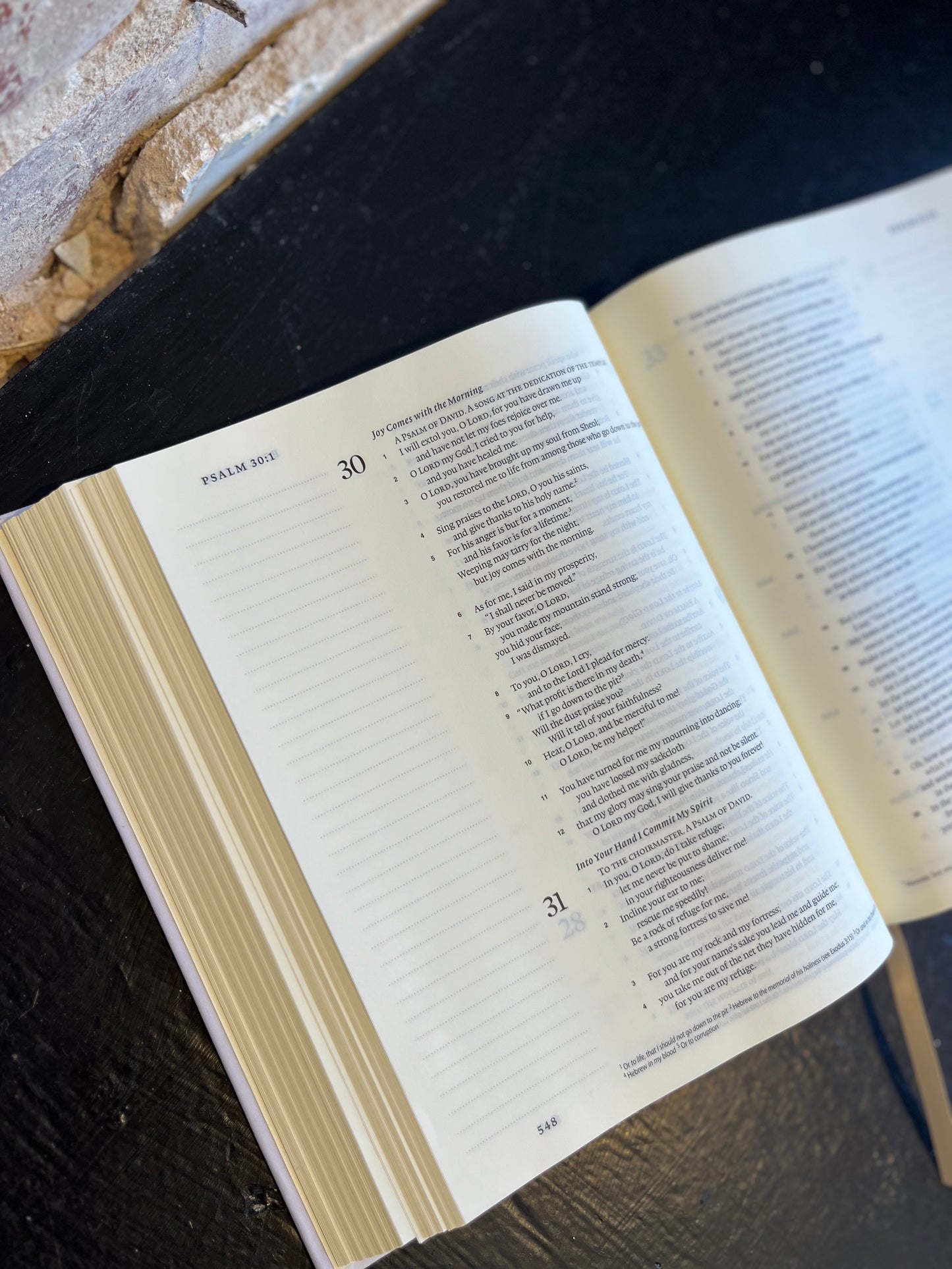 Rooted in Love Journaling Bible- ESV