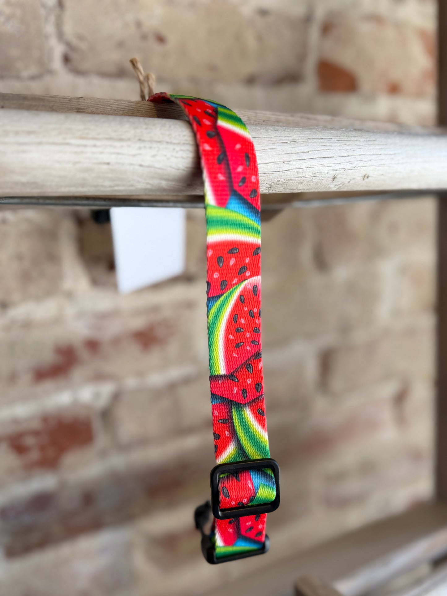 Watermelon WIDE Pet Collar