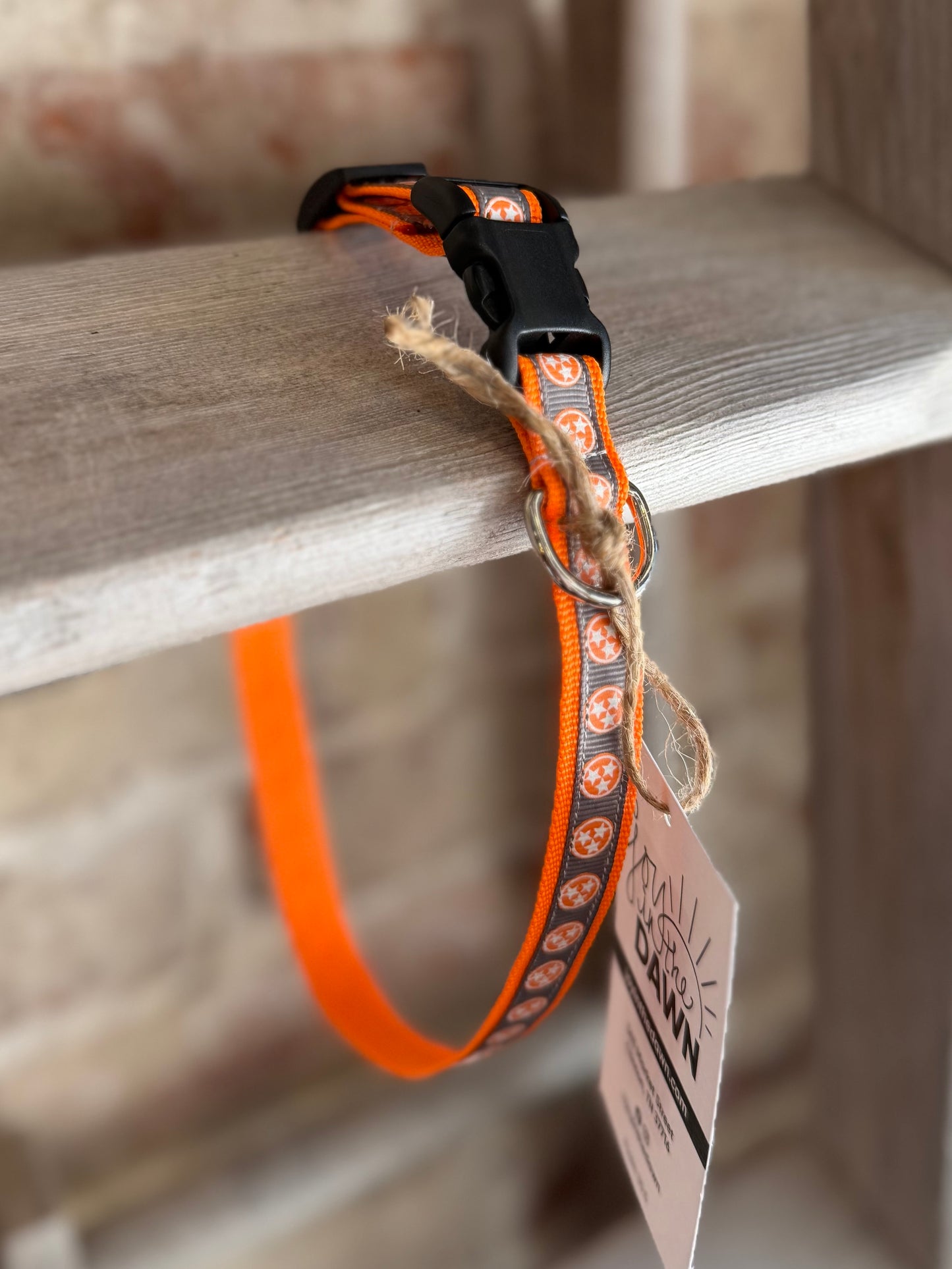 TriStar Narrow Pet Collar- Orange Trim