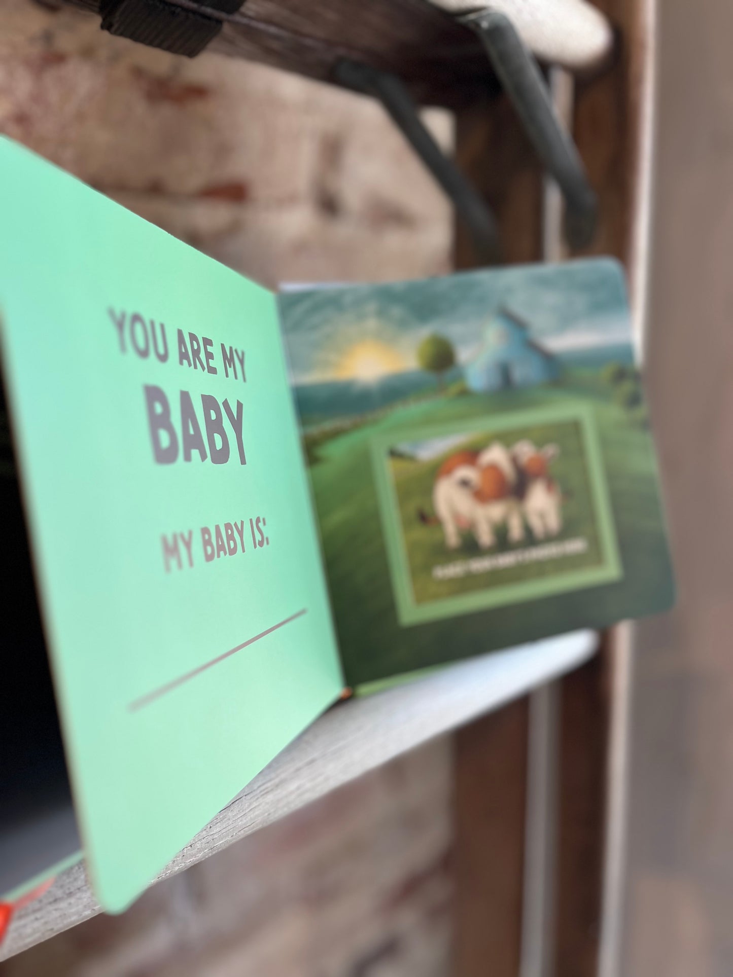 You Are My Baby Board Book