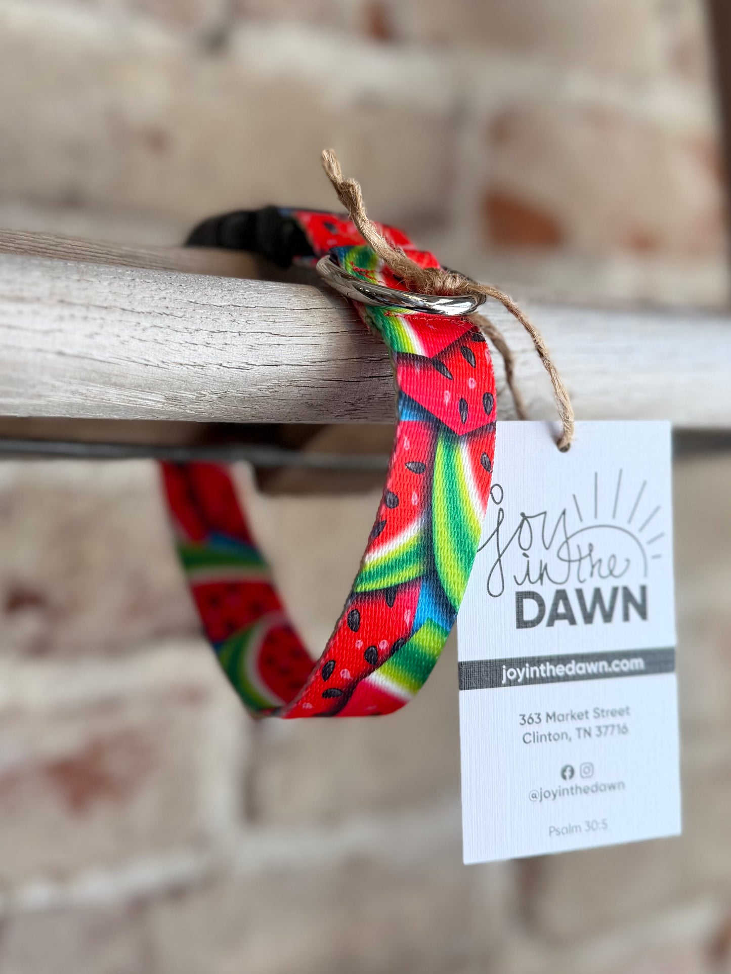 Watermelon WIDE Pet Collar